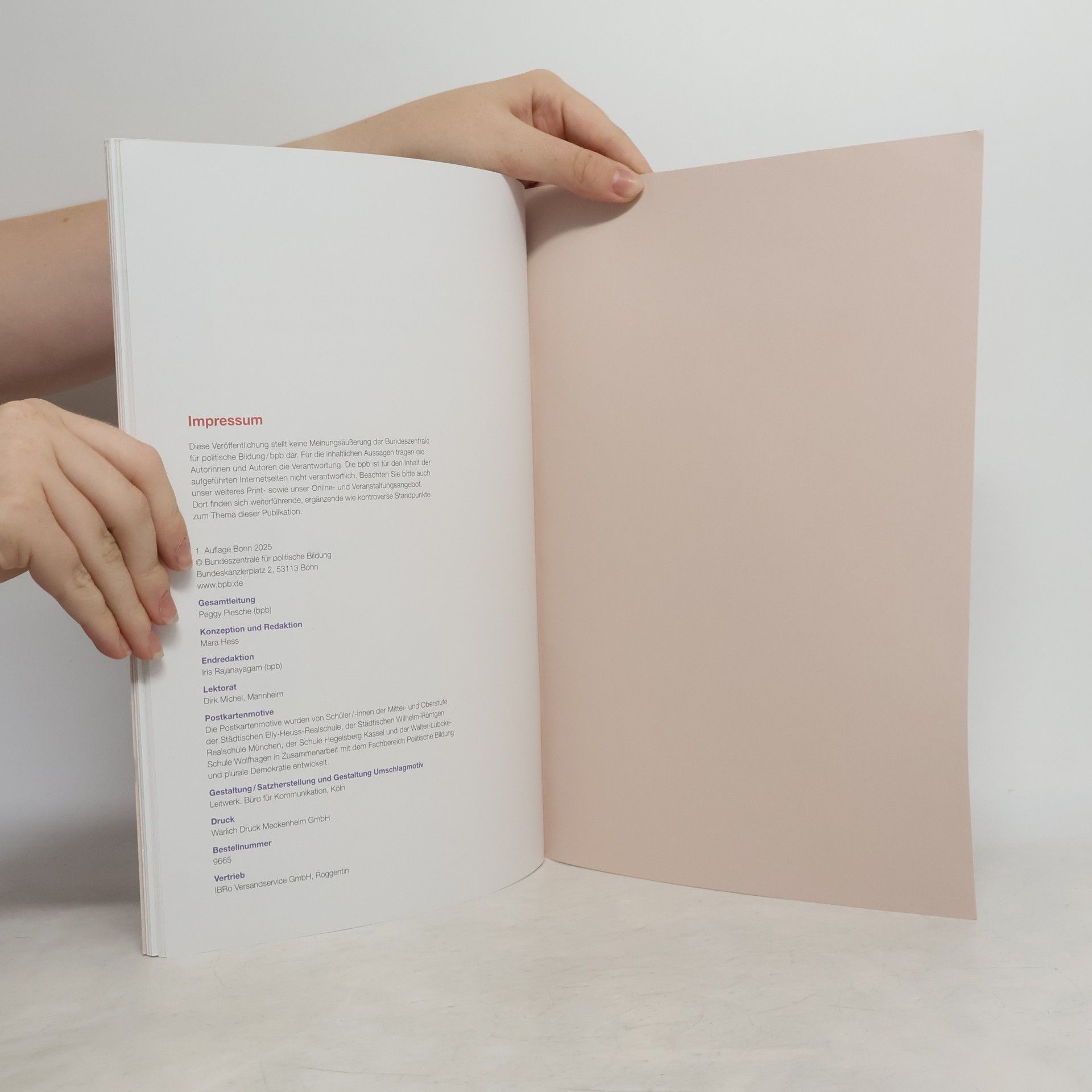 Collectif d'auteurs 75 Jahre Grundgesetz – intersektional gelesen