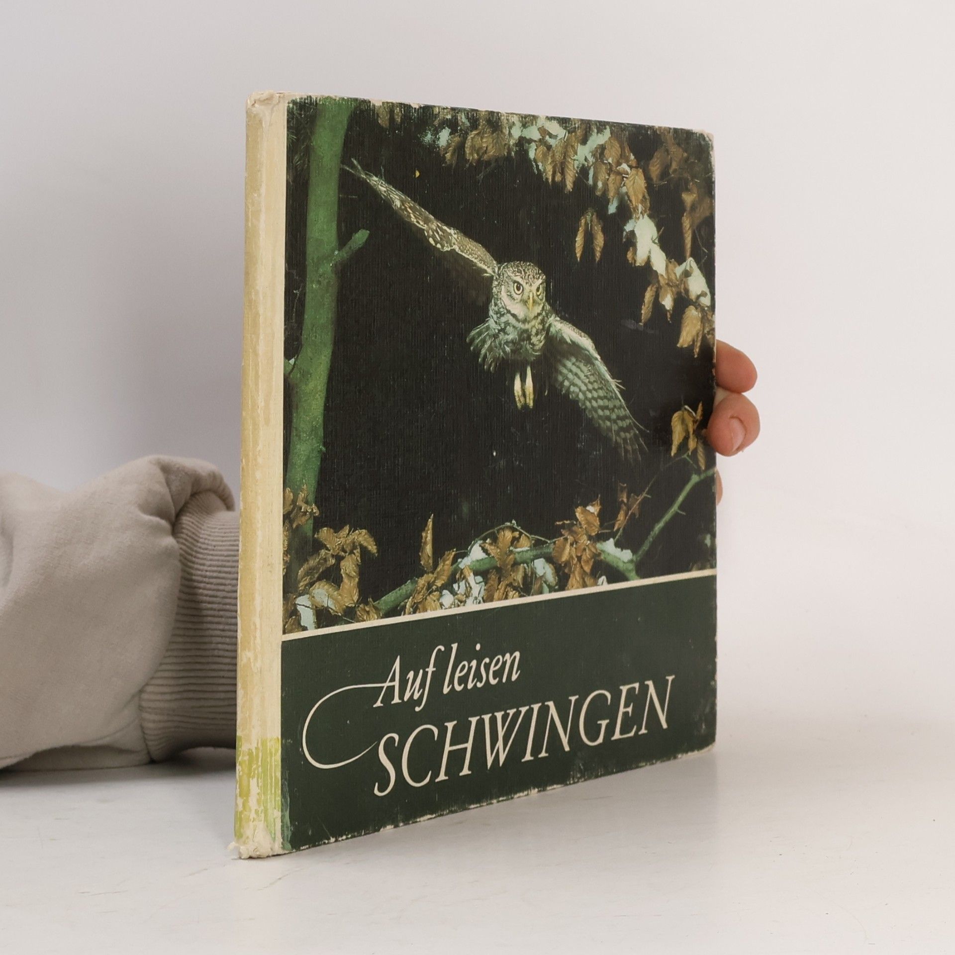 Various authors Auf leisen Schwingen