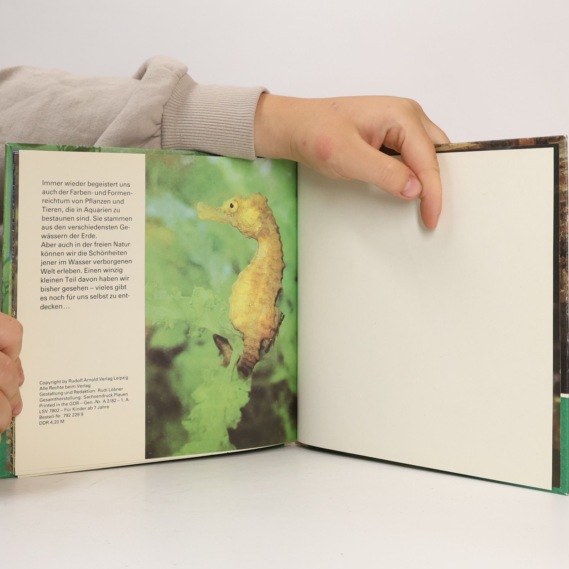Collectif d'auteurs Entdeckungen unter Wasser