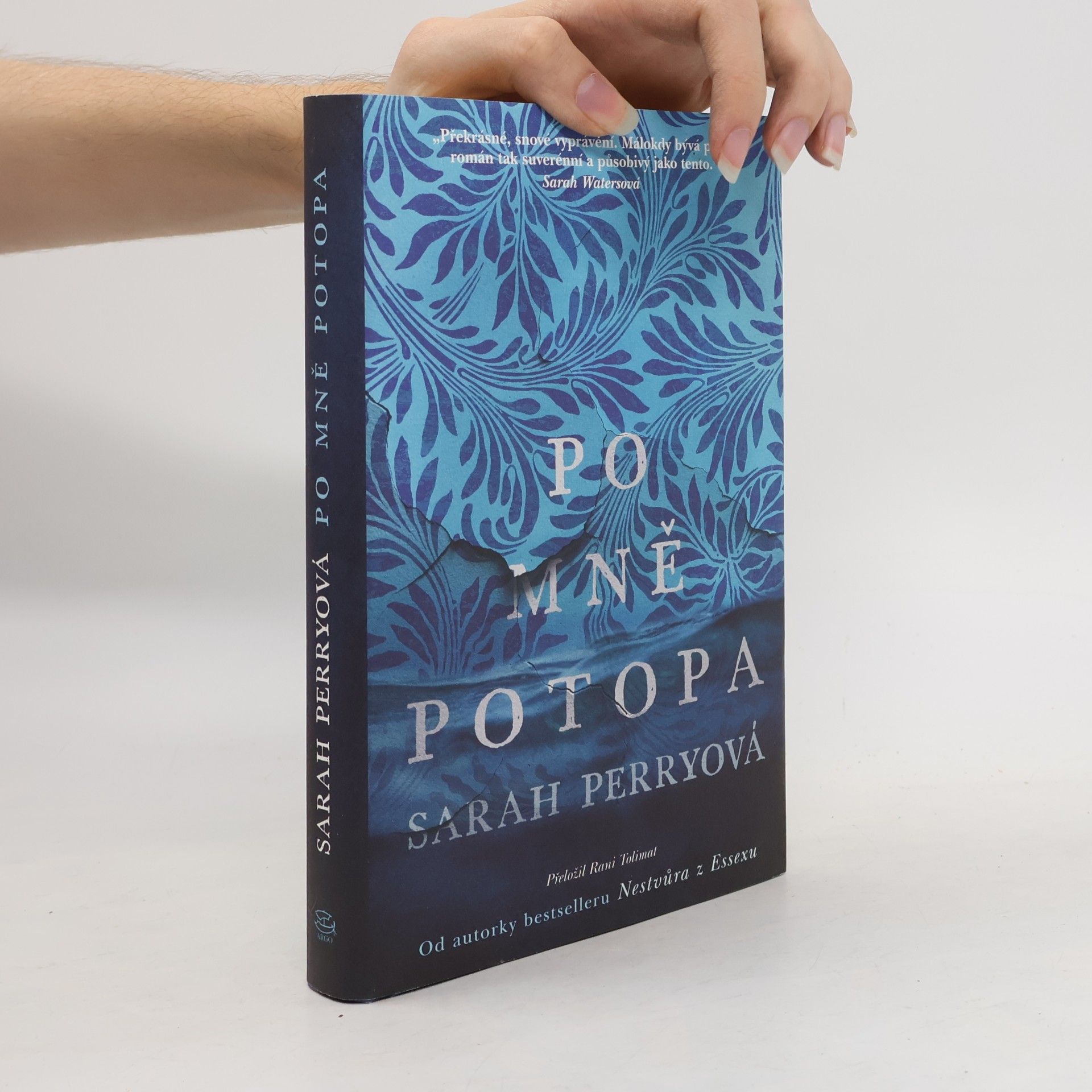 Sarah Perry Po mně potopa