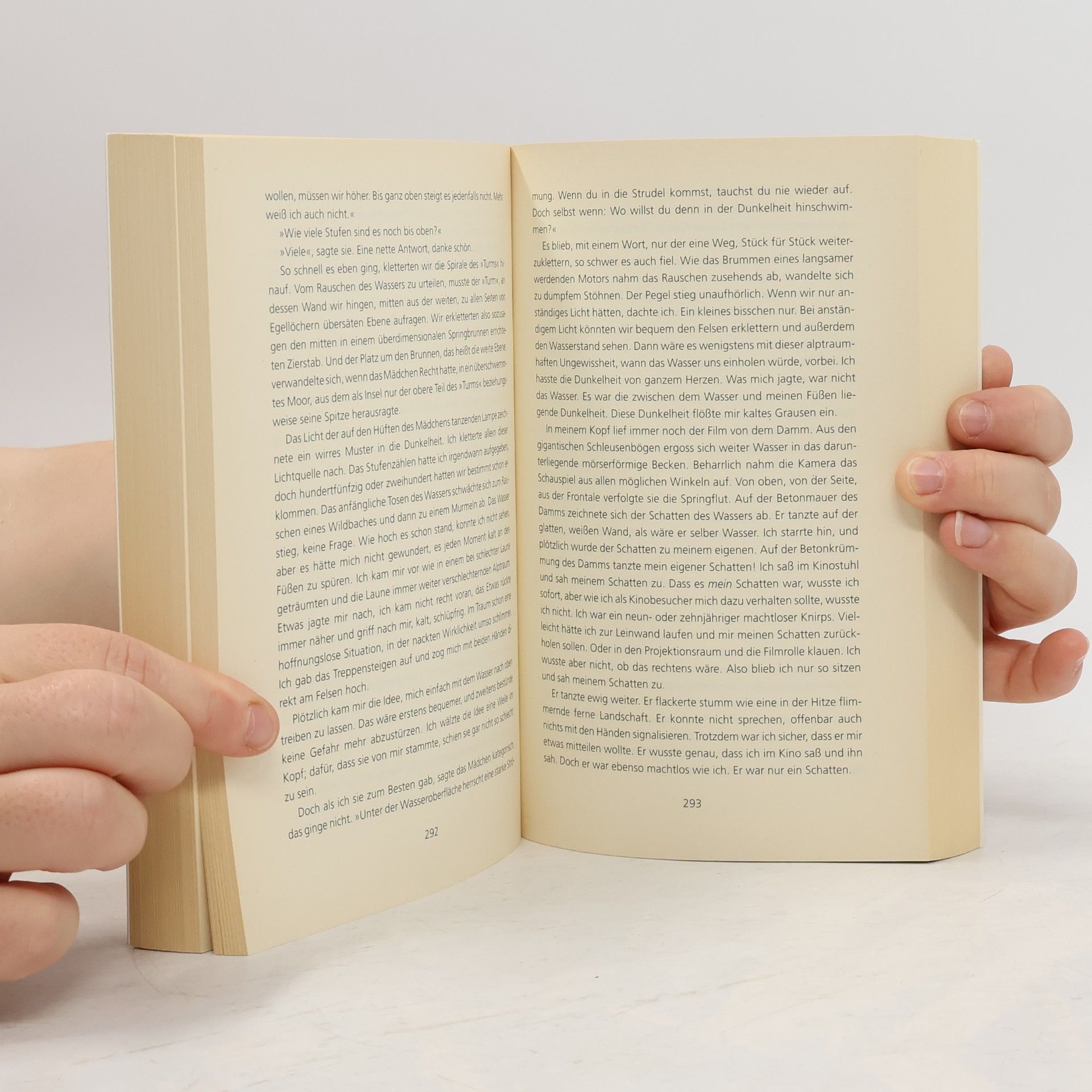 Haruki Murakami Hard-boiled Wonderland und das Ende der Welt