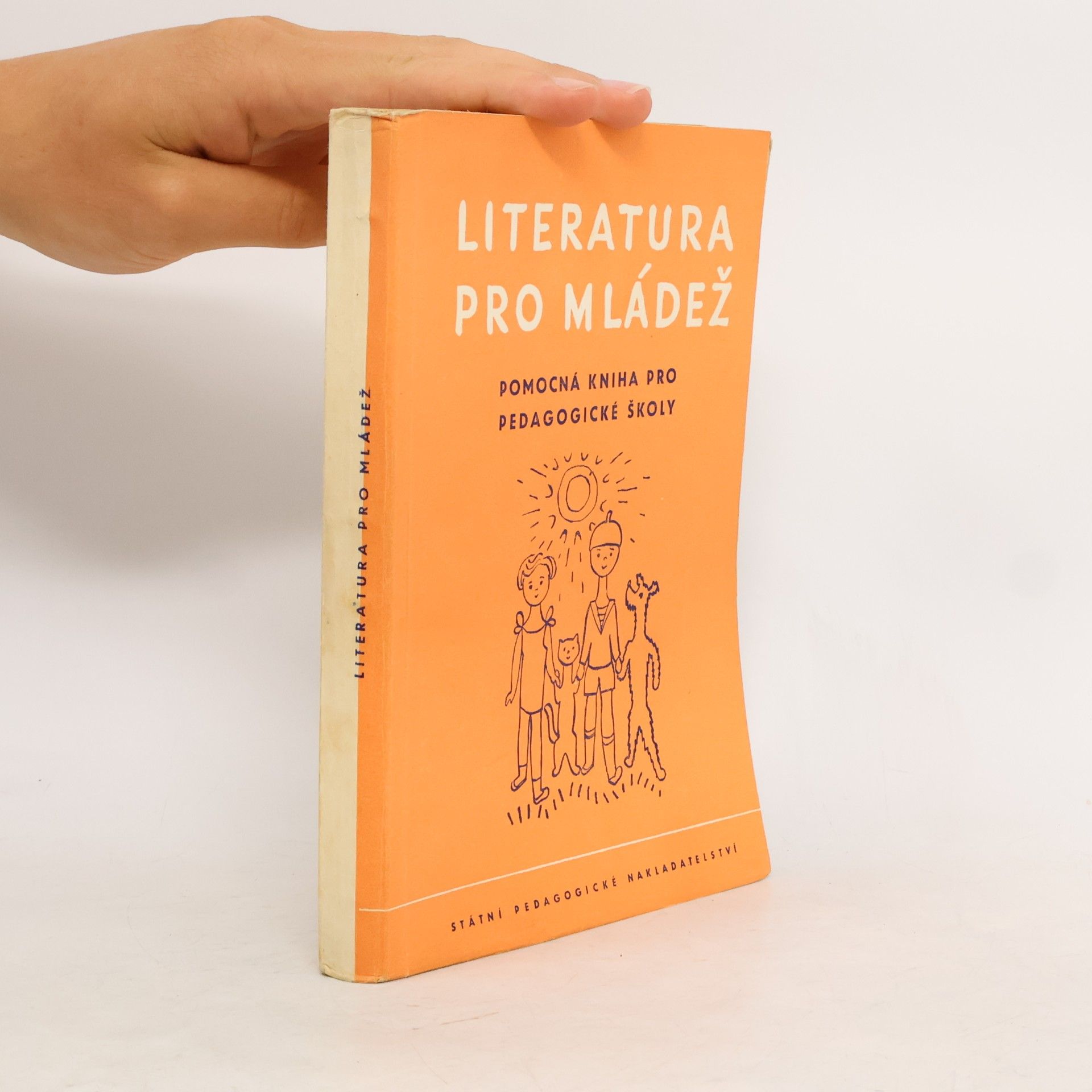 Kolektiv autorů Literatura pro mládež