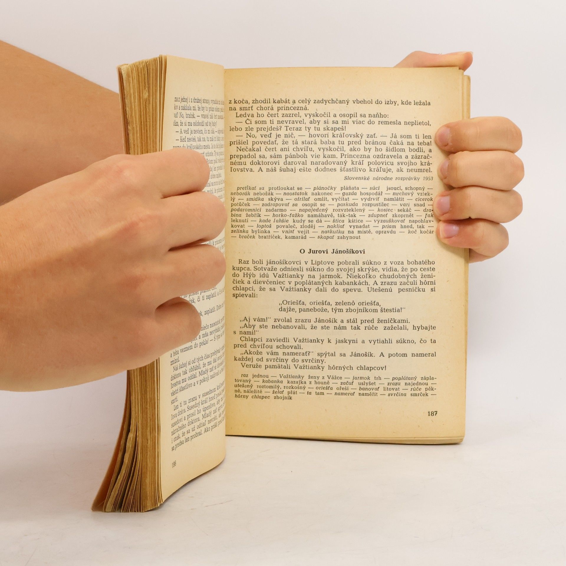 Autorenkollektiv Literatura pro mládež