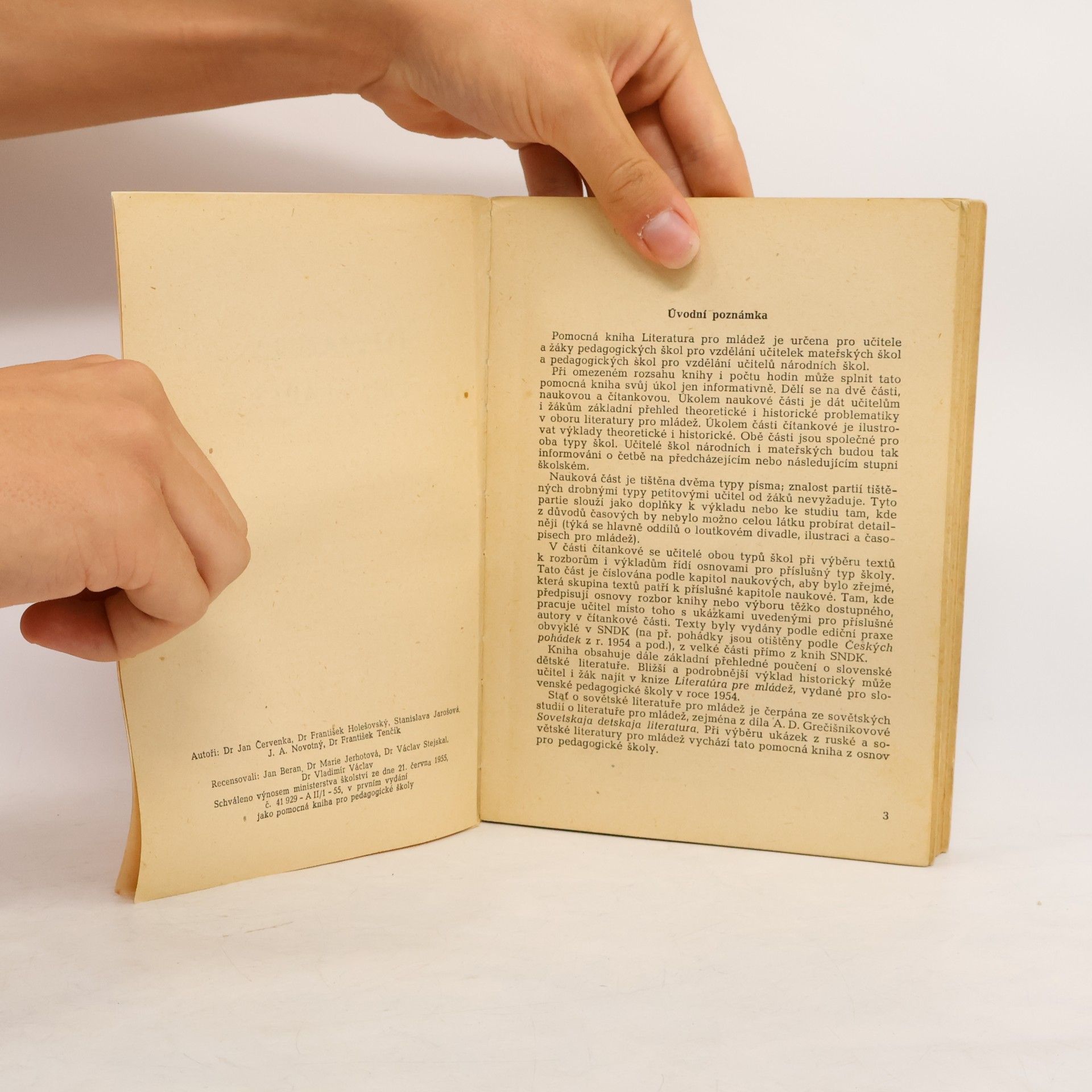 Autorenkollektiv Literatura pro mládež