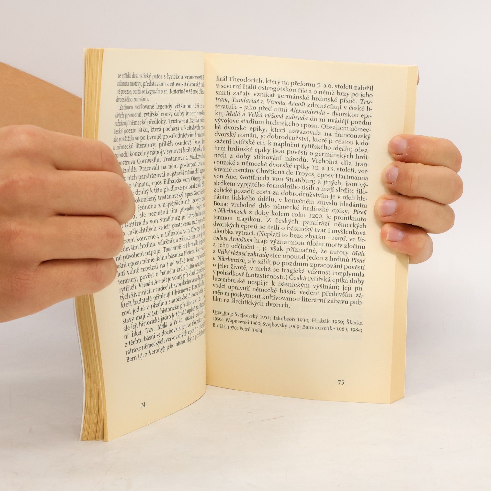 Alexandr Stich Česká literatura I