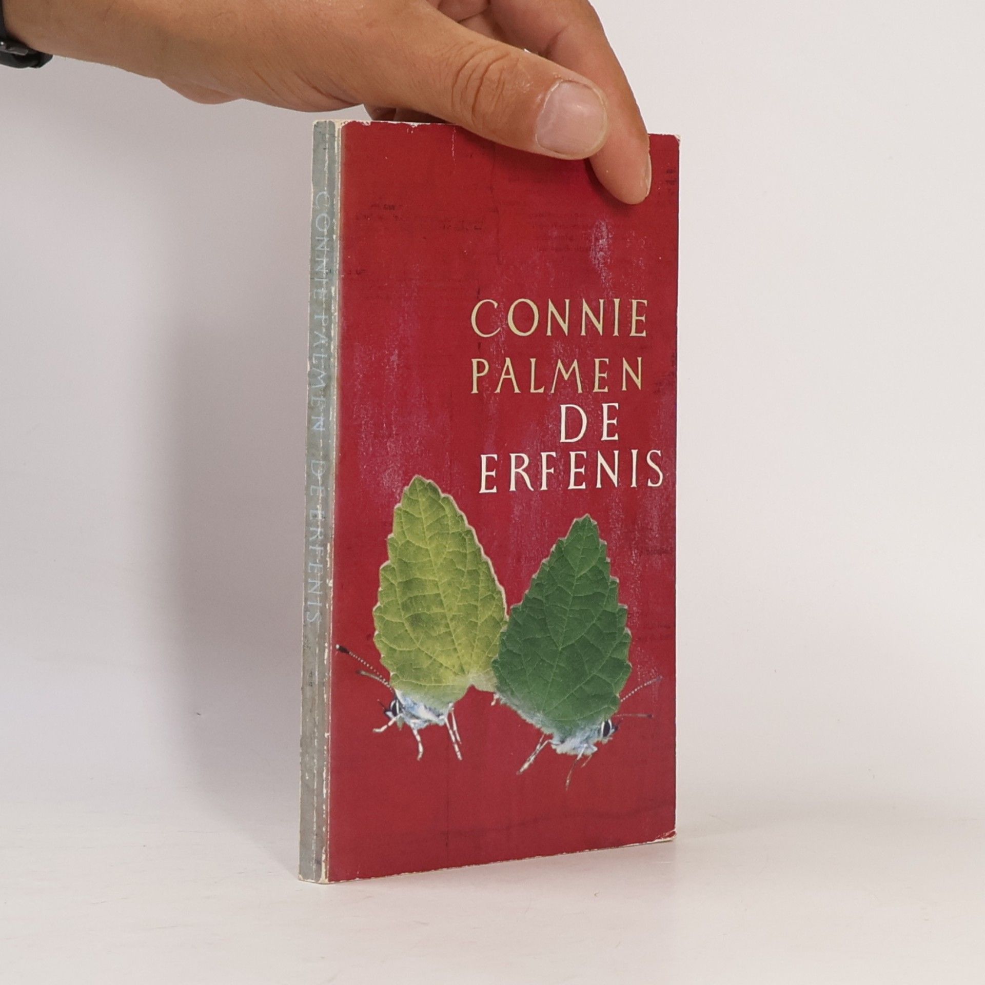 Connie Palmen De erfenis