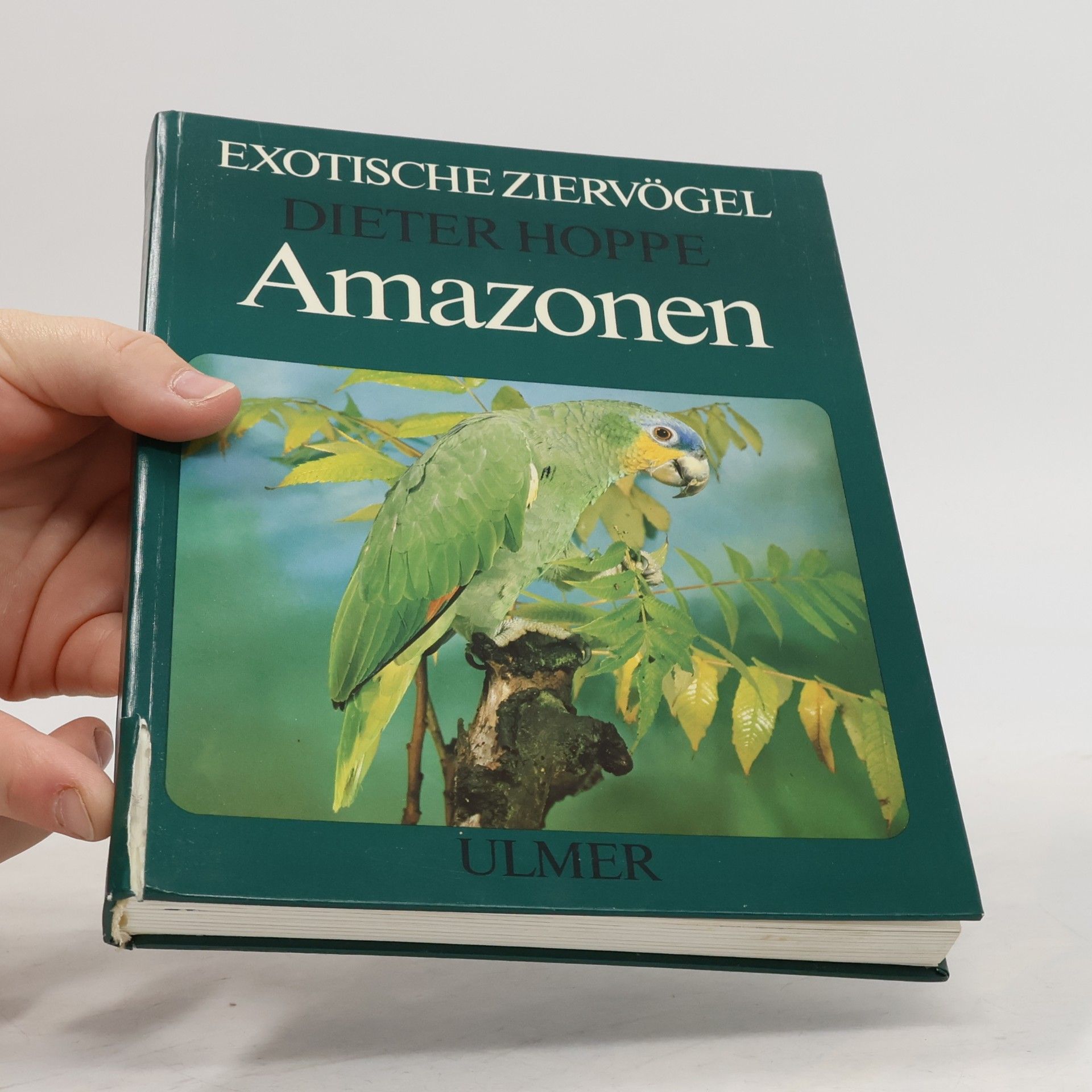 Dieter Hoppe Amazonen