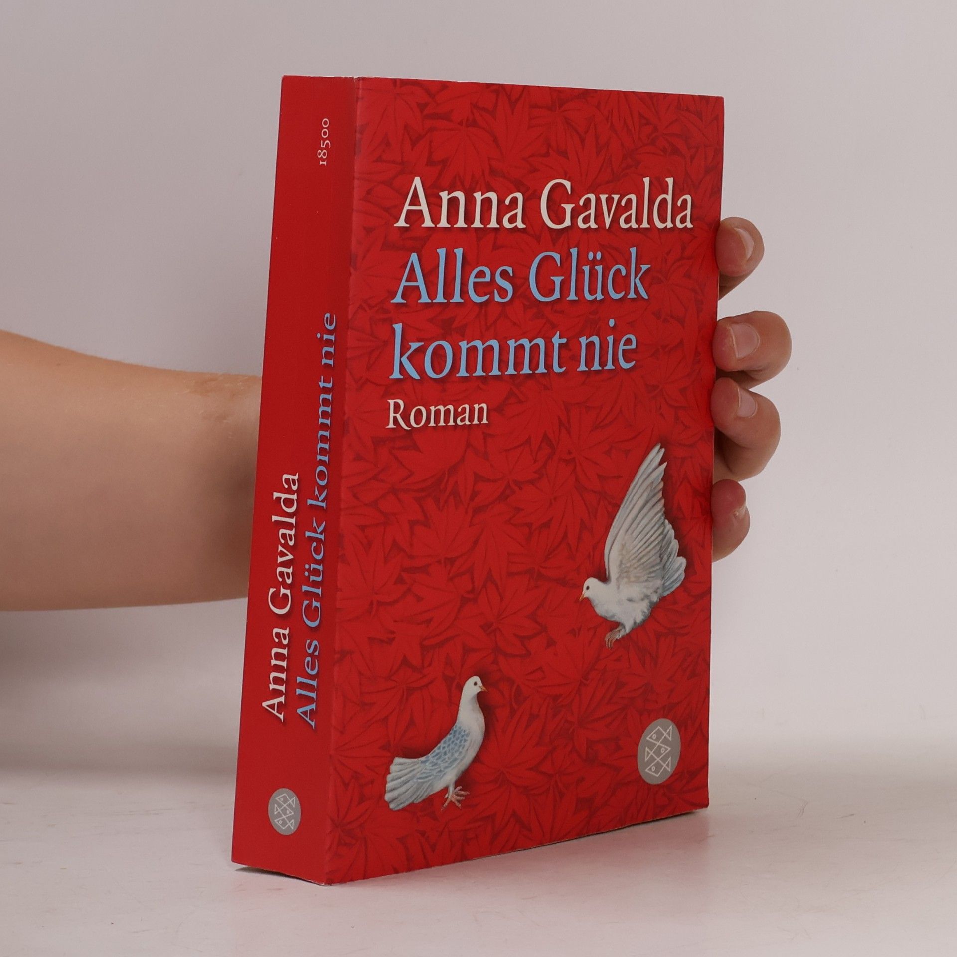 Anna Gavalda Alles Glück kommt nie
