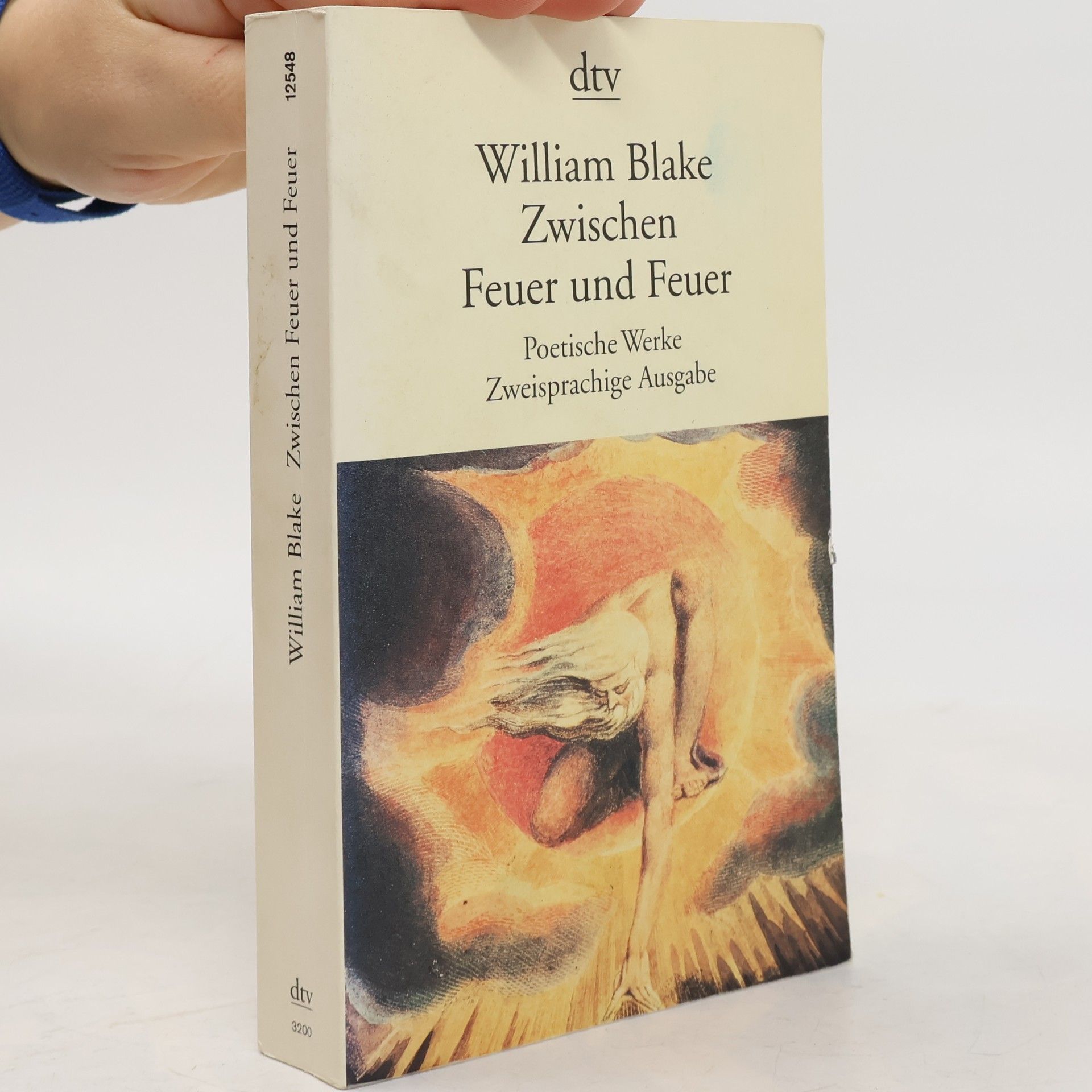 William Blake Zwischen Feuer und Feuer