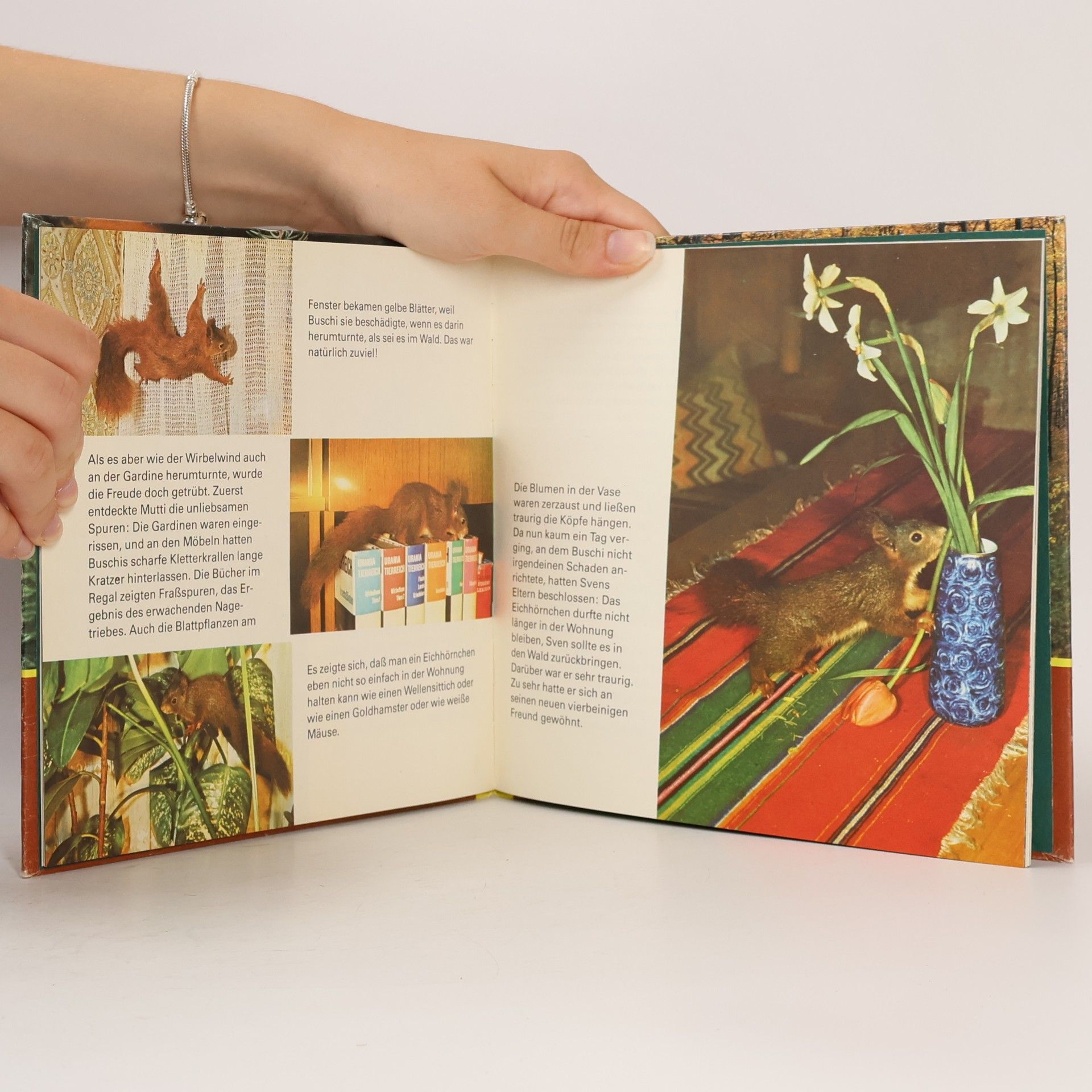 Autores varios Eichhörnchen Buschi