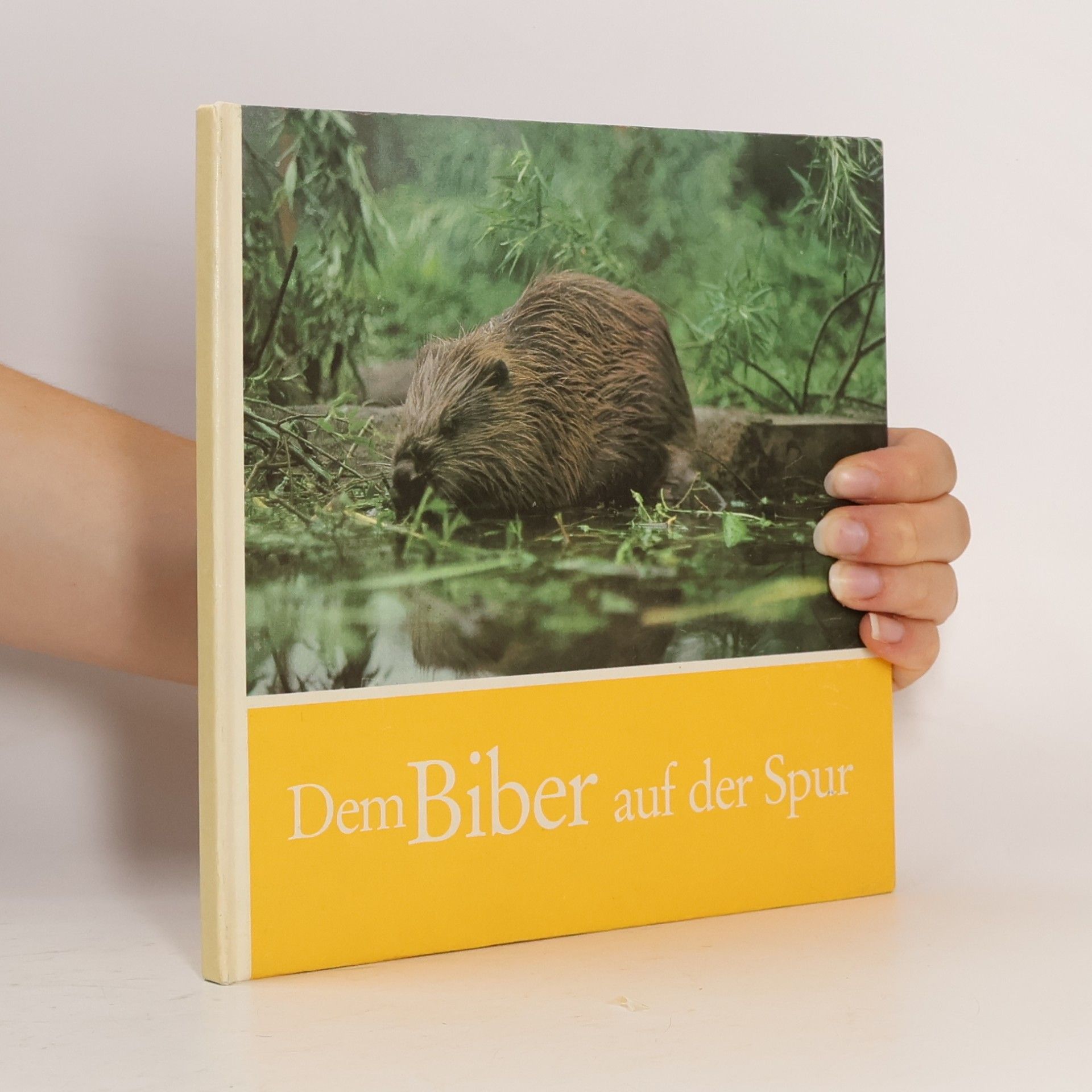 Dem Biber auf der Spur