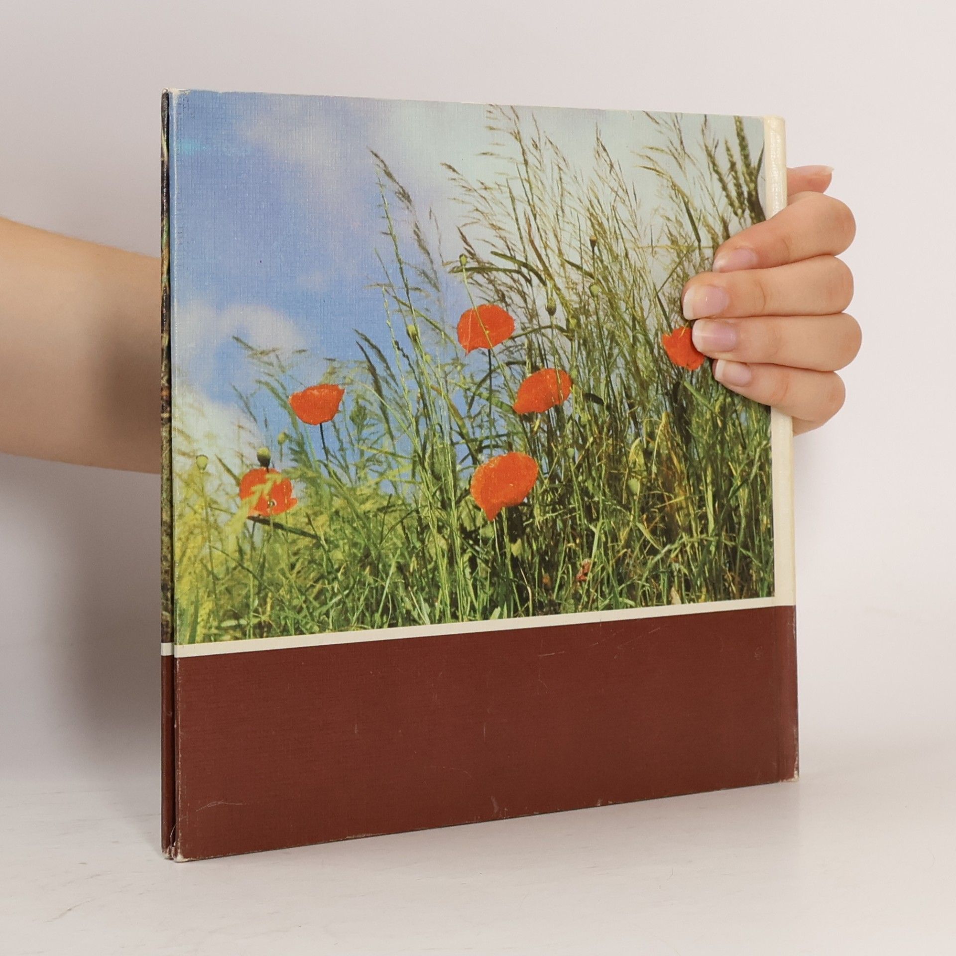 Helmut Massny Hamstersommer