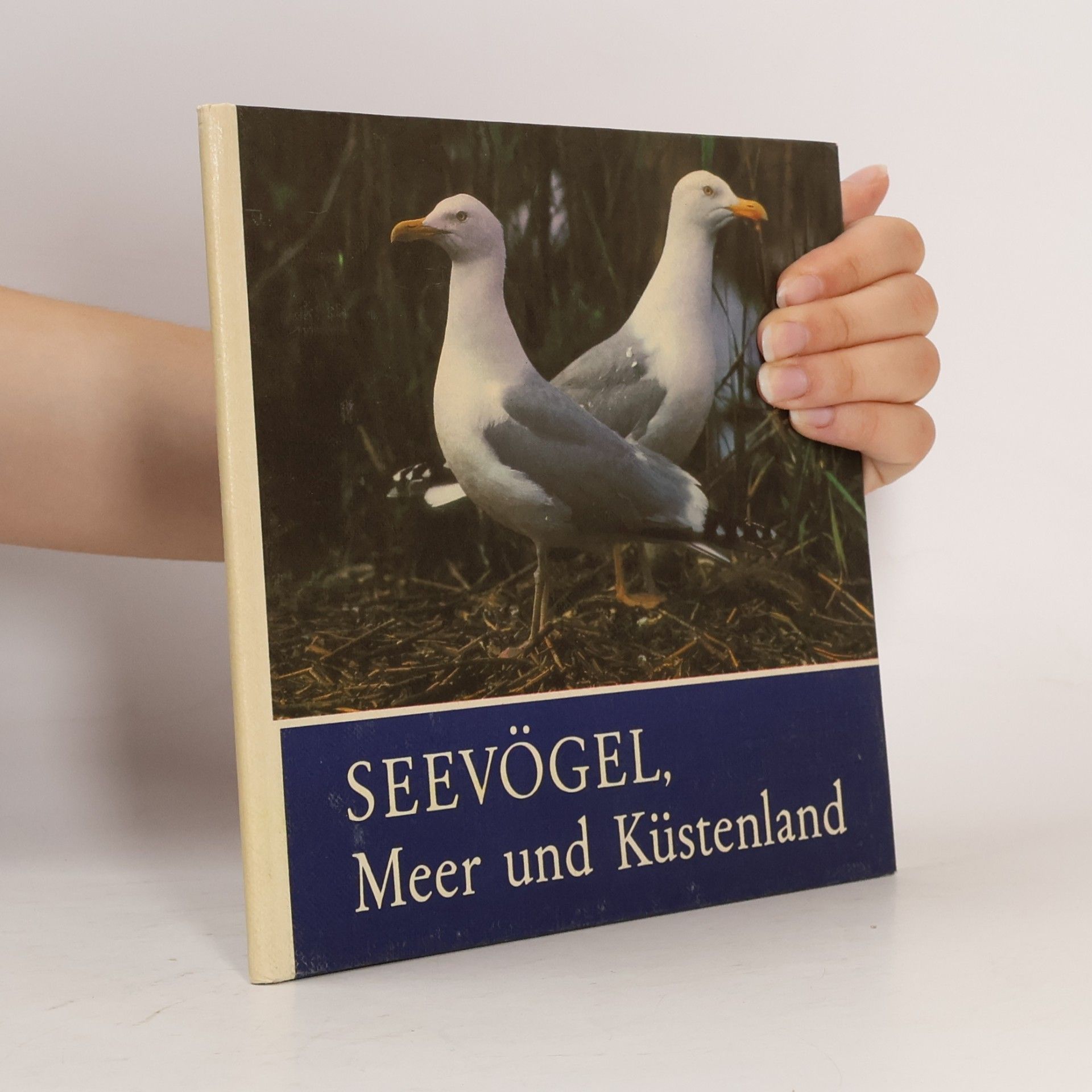 Autorenkollektiv Seevögel, Meer und Küstenland