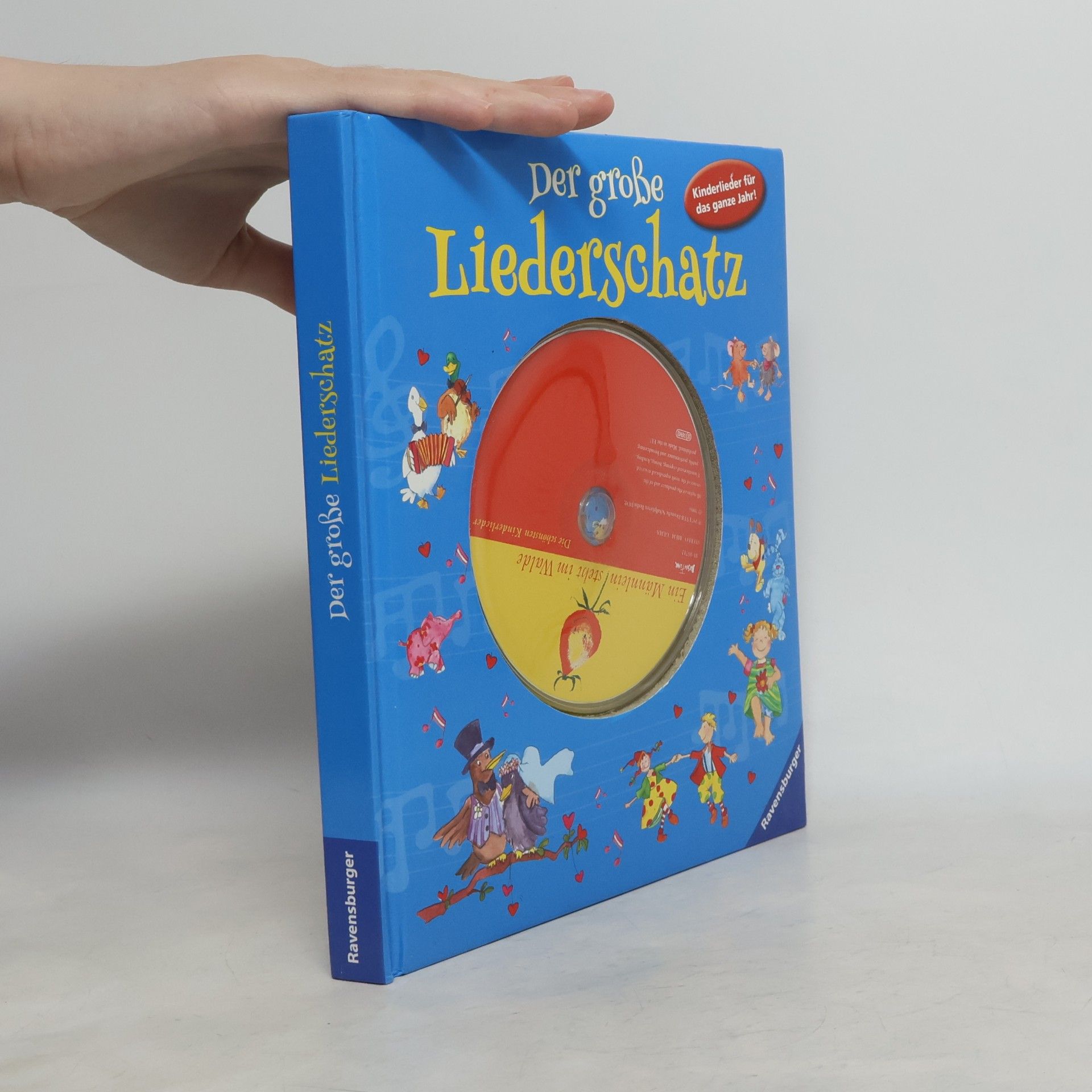 Autores varios Der große Liederschatz