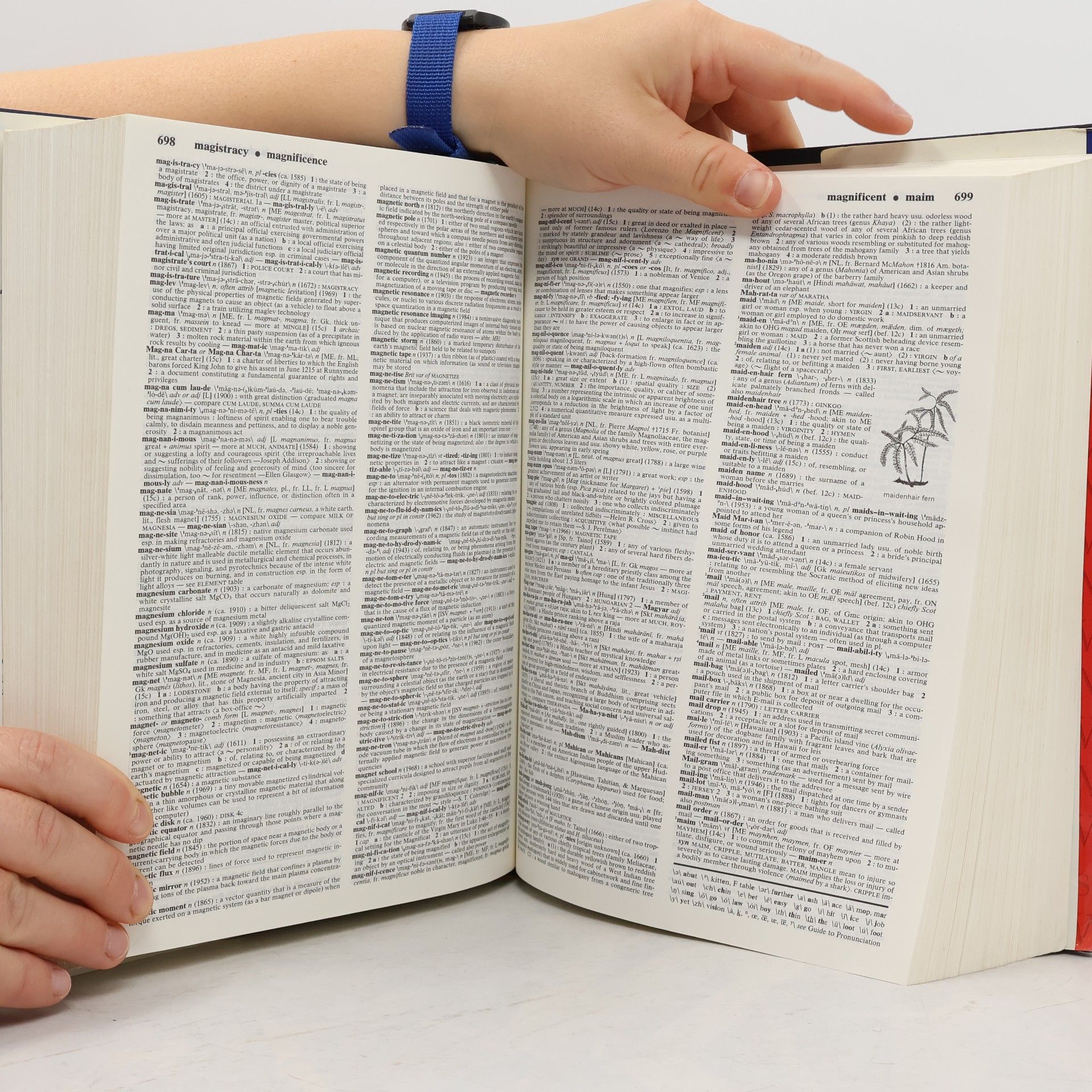 Merriam-Webster Merriam-Webster's Collegiate Dictionary