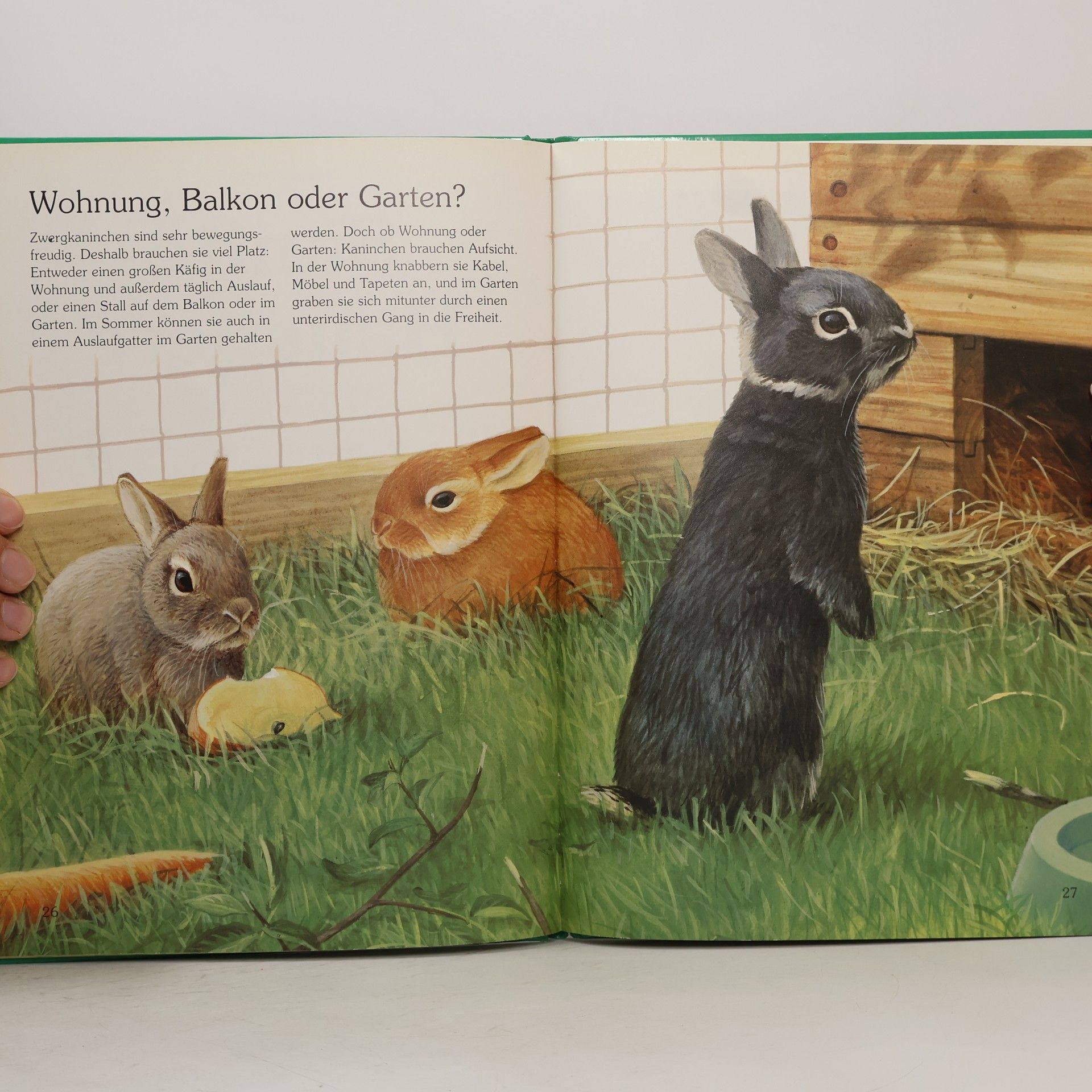 Autorenkollektiv Tiere im Haus