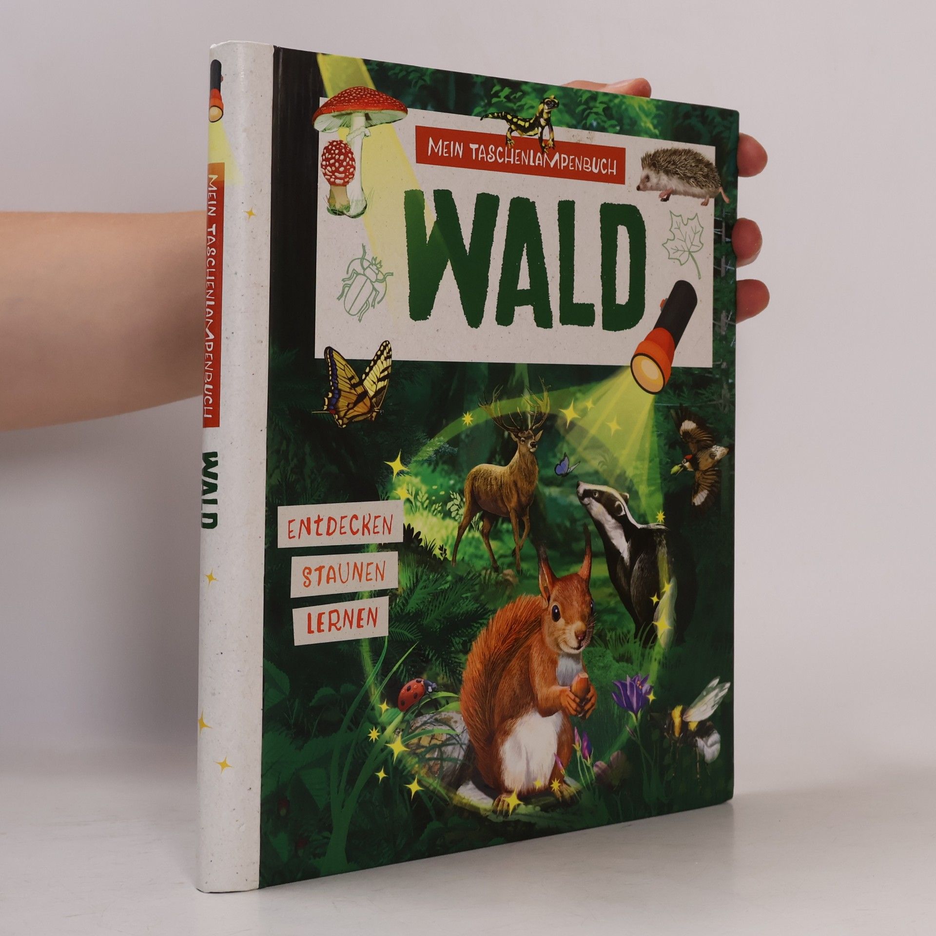 Autorenkollektiv Mein Taschenlampenbuch. Wald