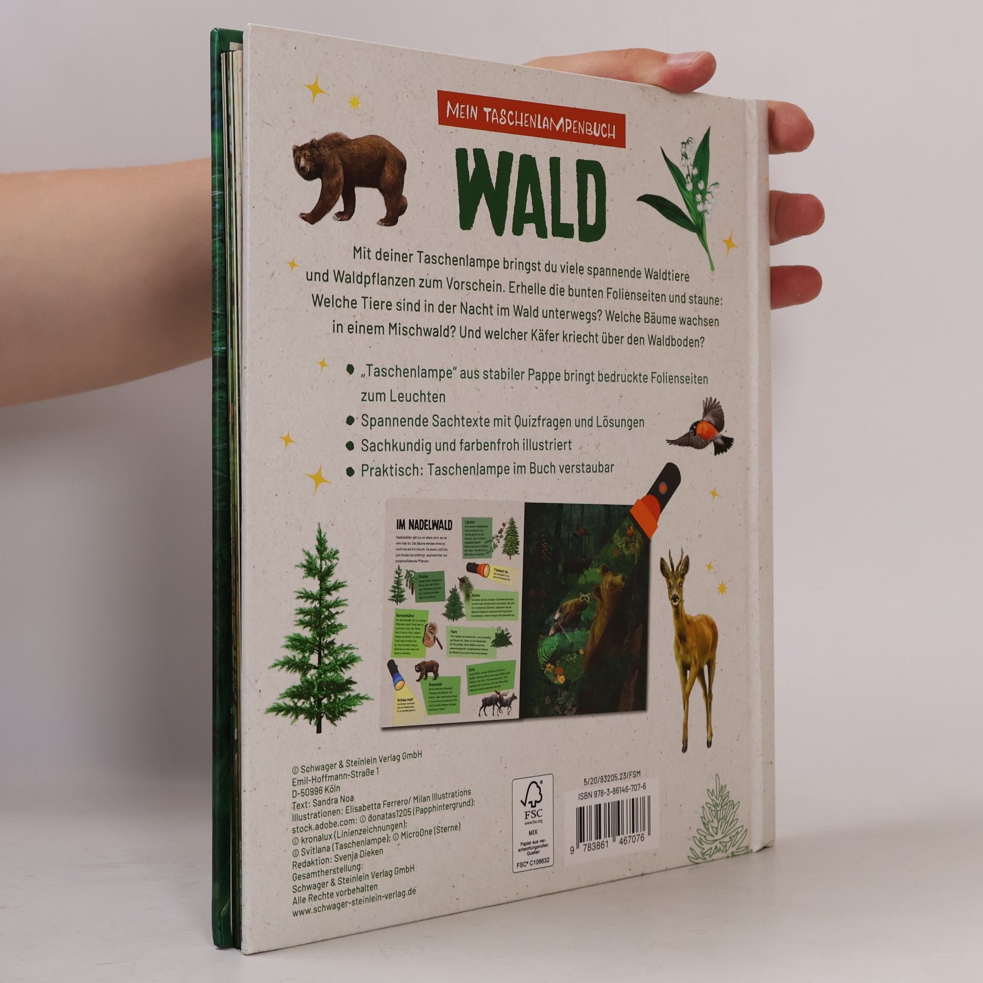 Autorenkollektiv Mein Taschenlampenbuch. Wald