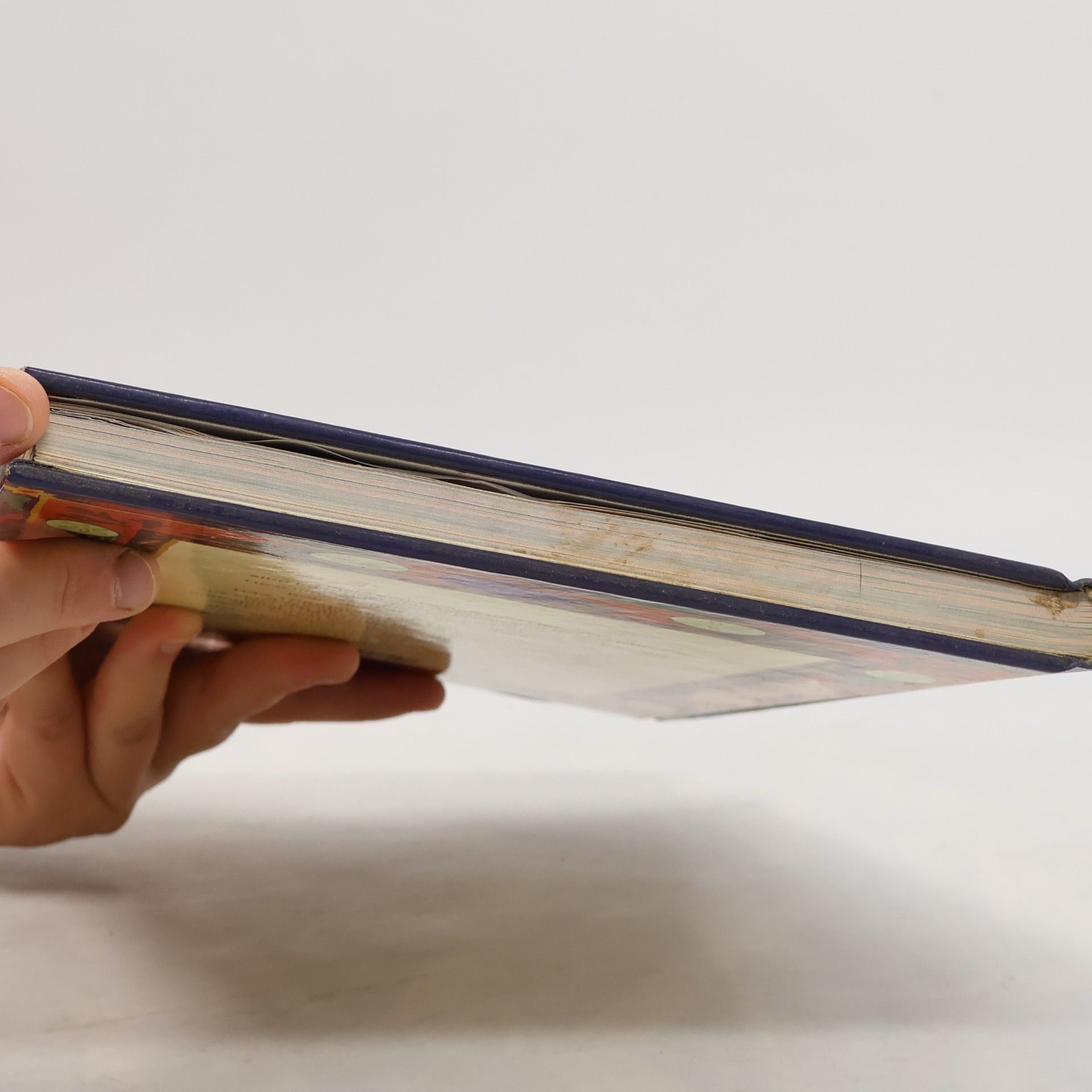 Nevin Halici Das türkische Kochbuch