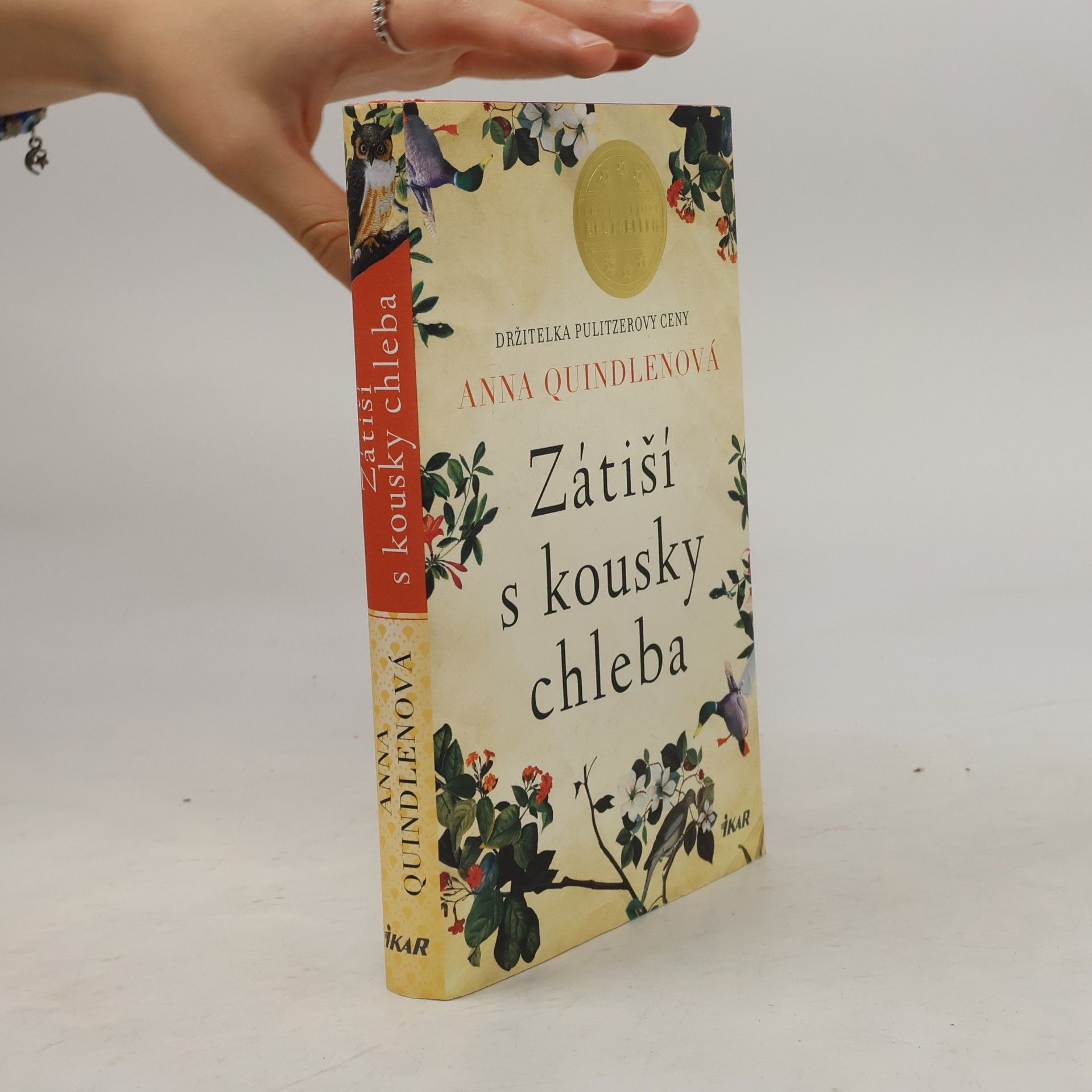 Anna Quindlen Zátiší s kousky chleba