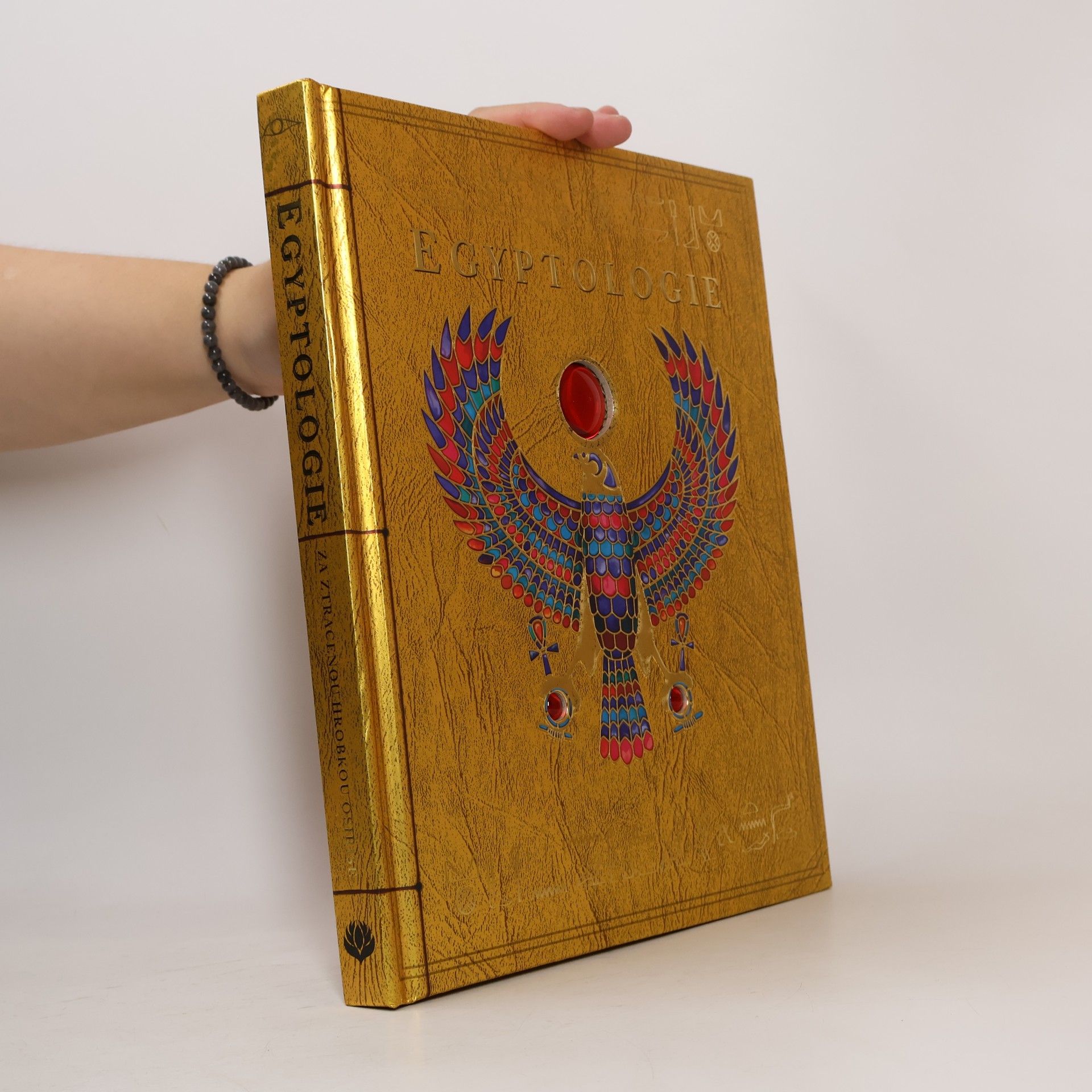 Emily Sands Egyptologie: Za ztracenou hrobkou Osirise