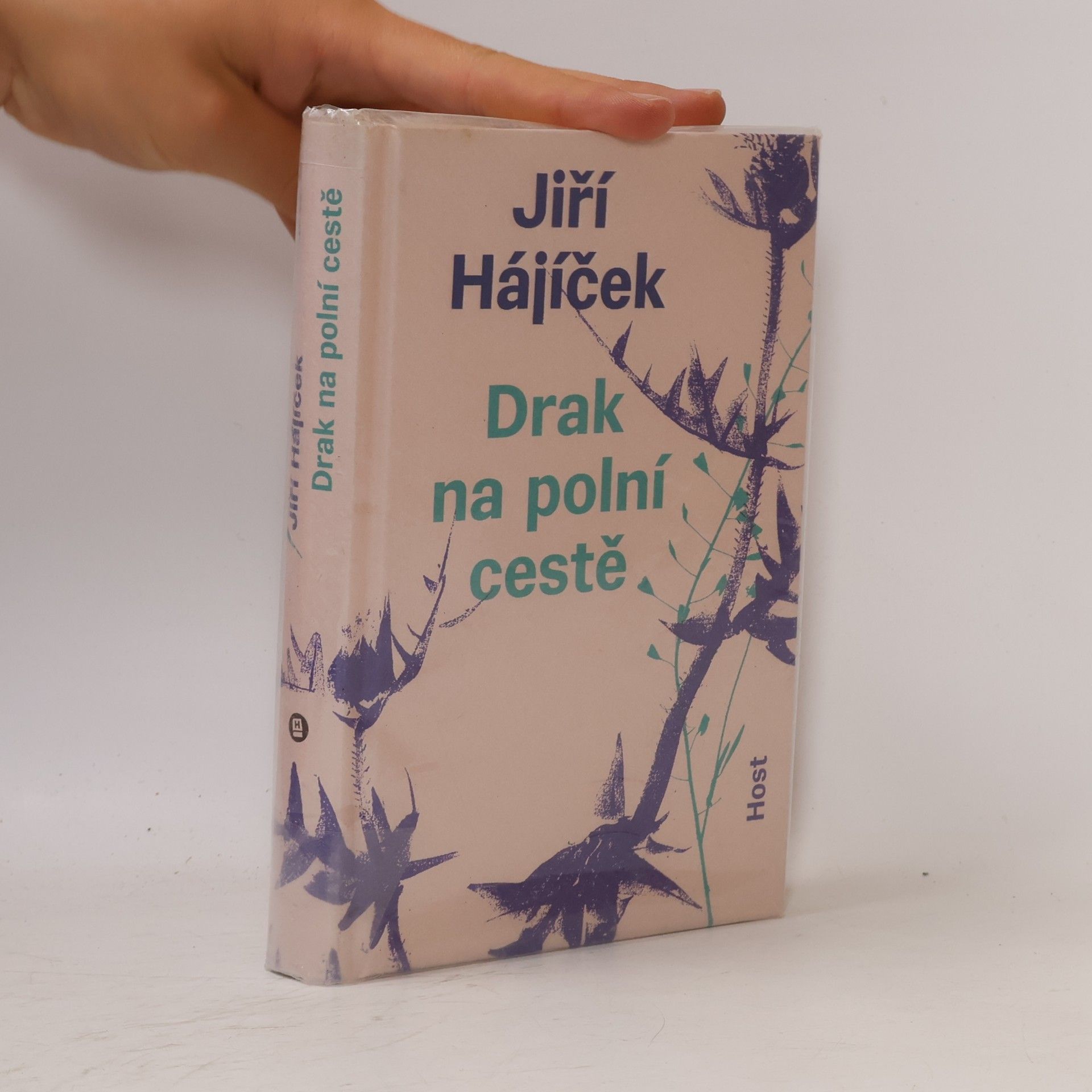 Jiří Hájíček Drak na polní cestě