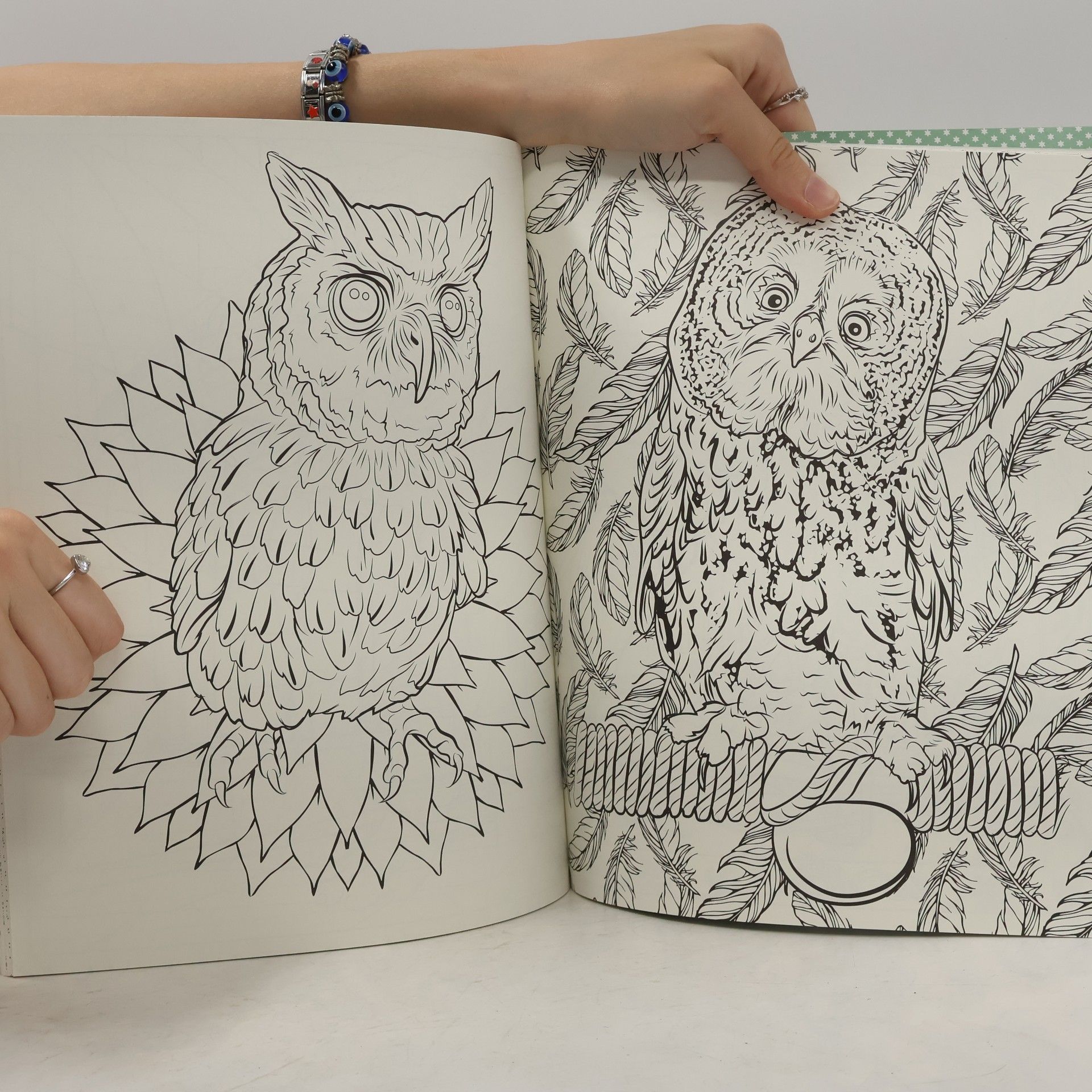 Panini Books Harry Potter: Magische Wesen Malbuch