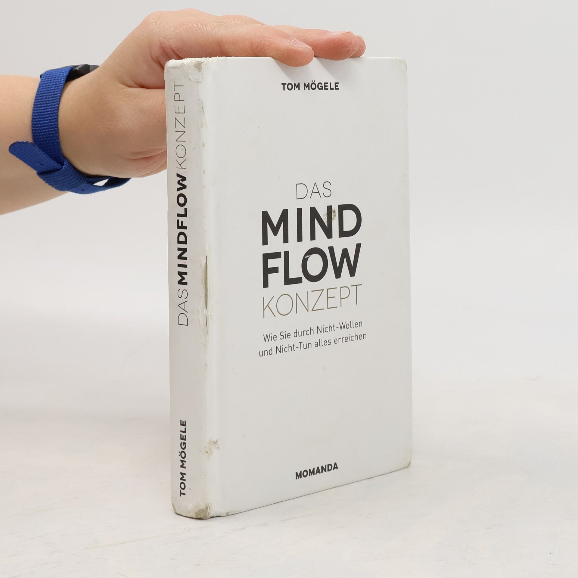Tom Mögele Mindflow