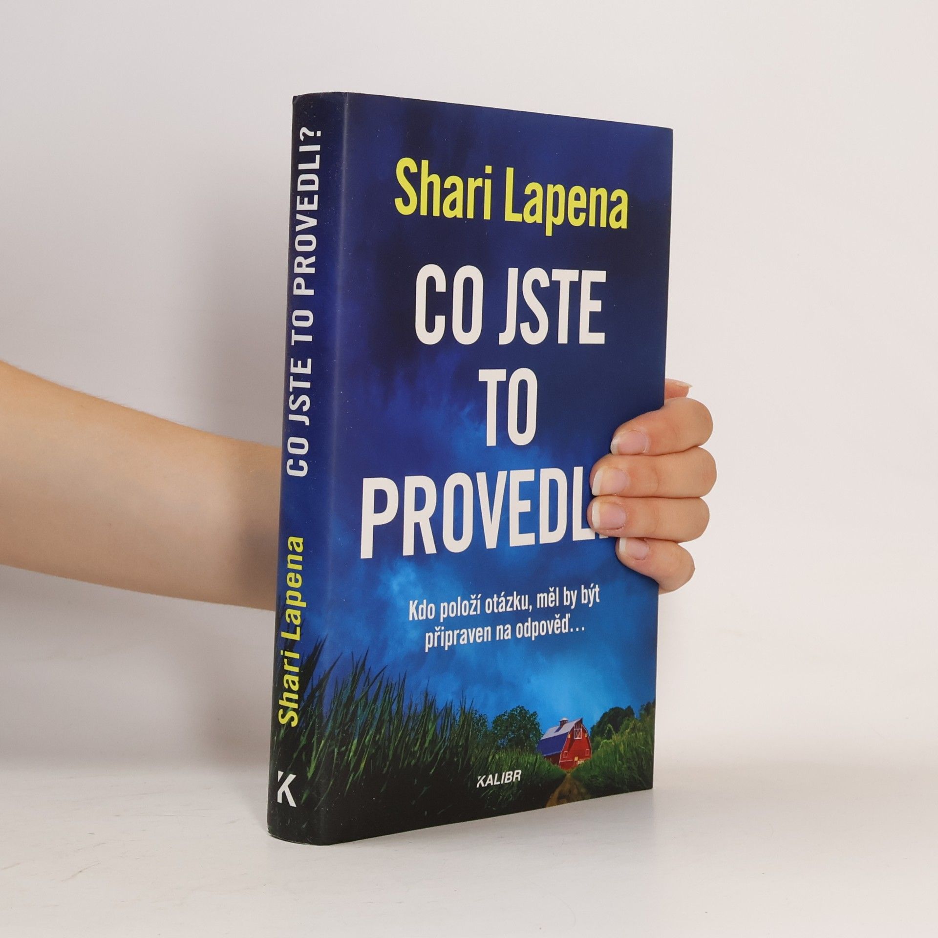 Shari Lapena Co jste to provedli?