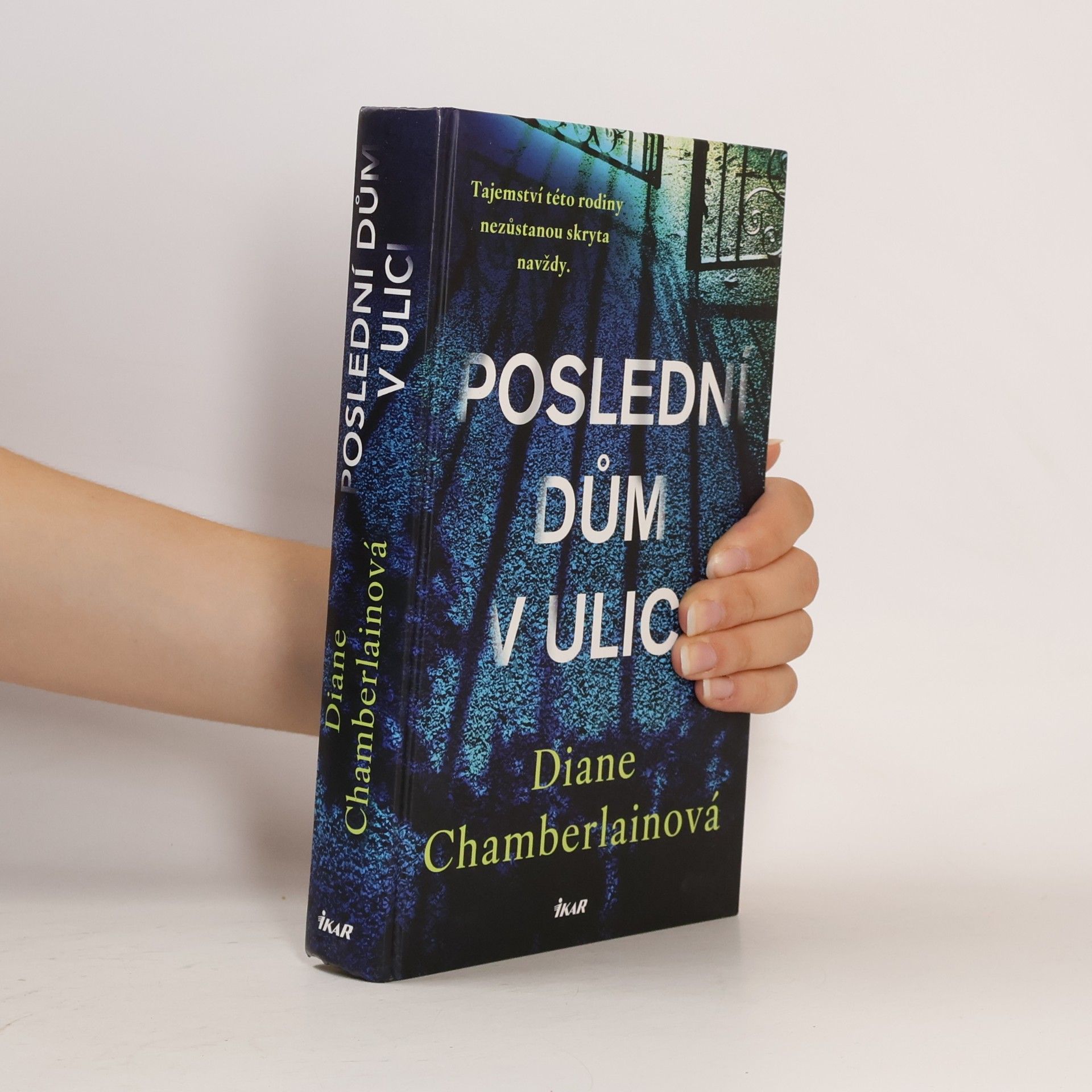 Diane Chamberlain Poslední dům v ulici