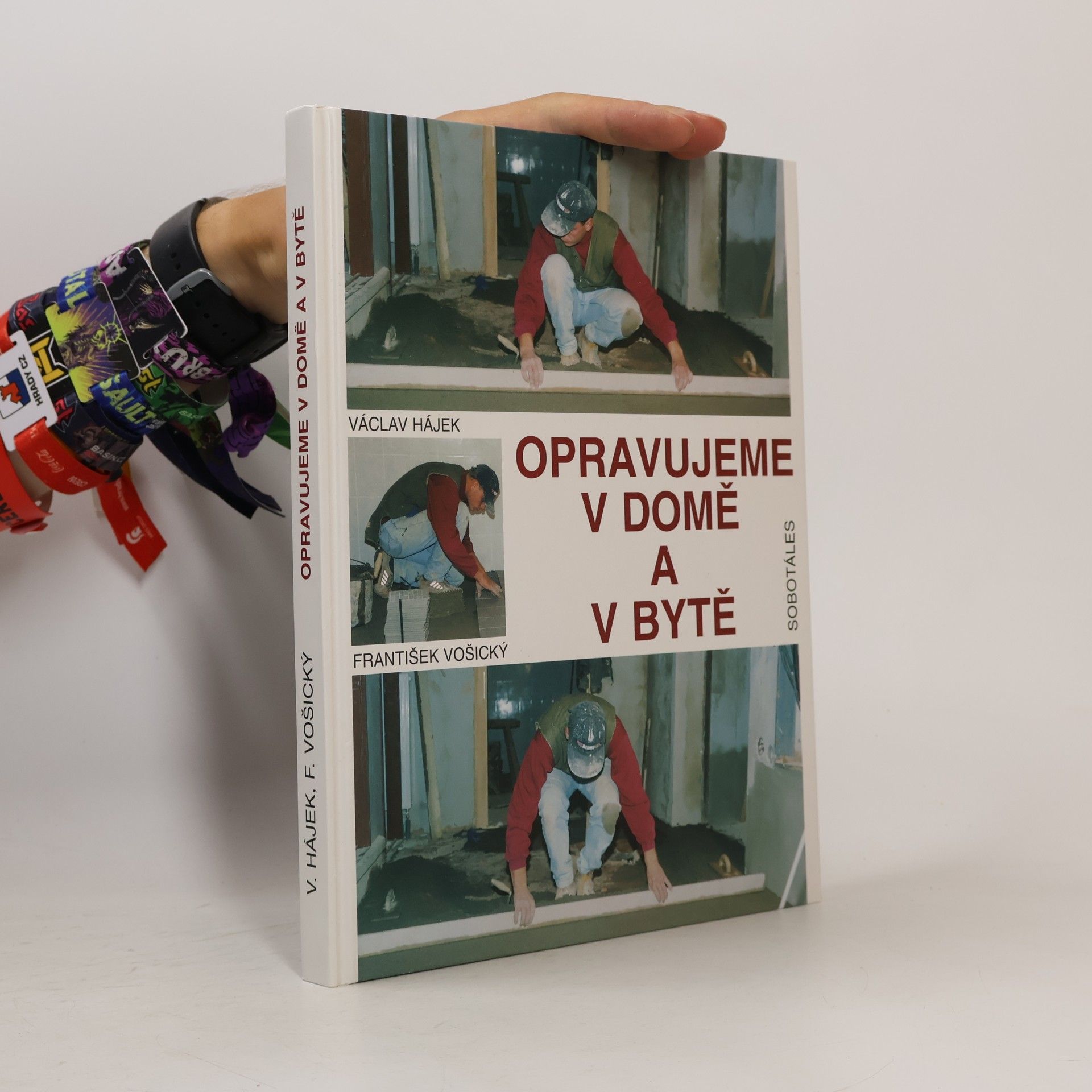 František Vošický Opravujeme v domě a v bytě