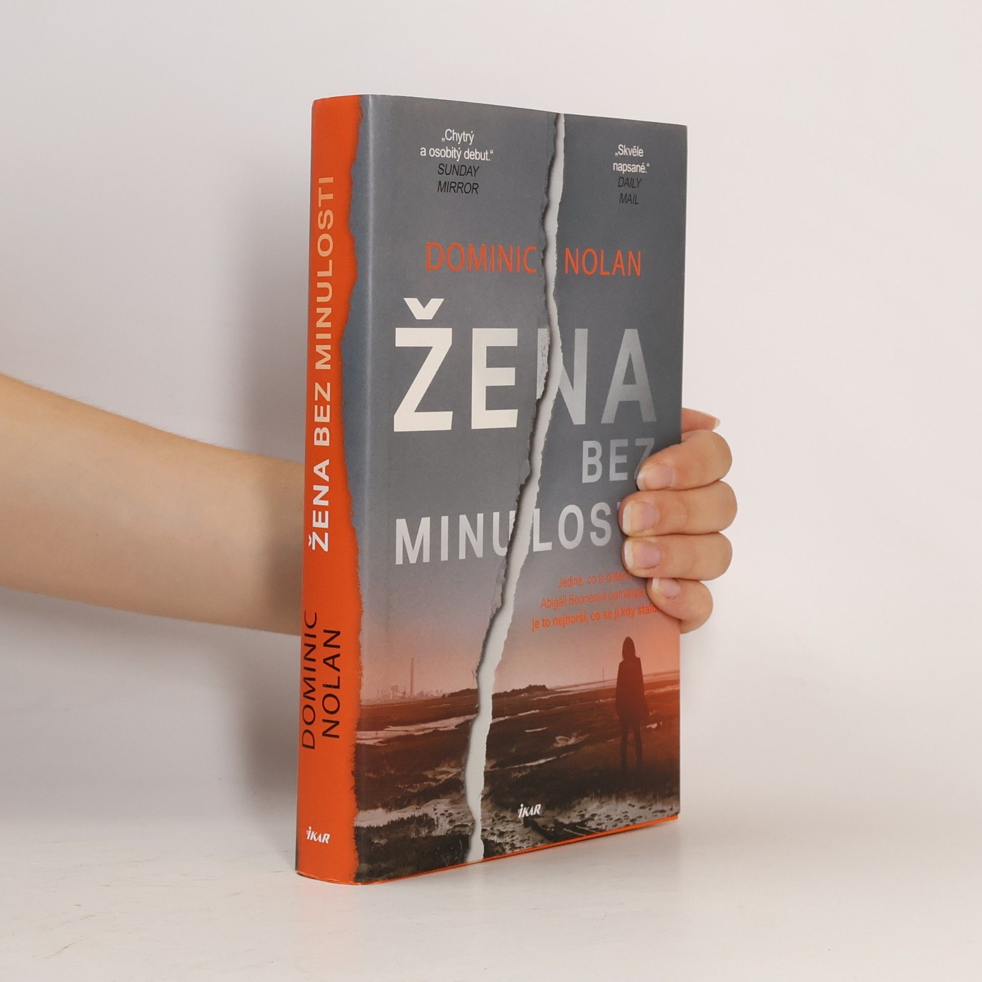 Dominic Nolan Žena bez minulosti