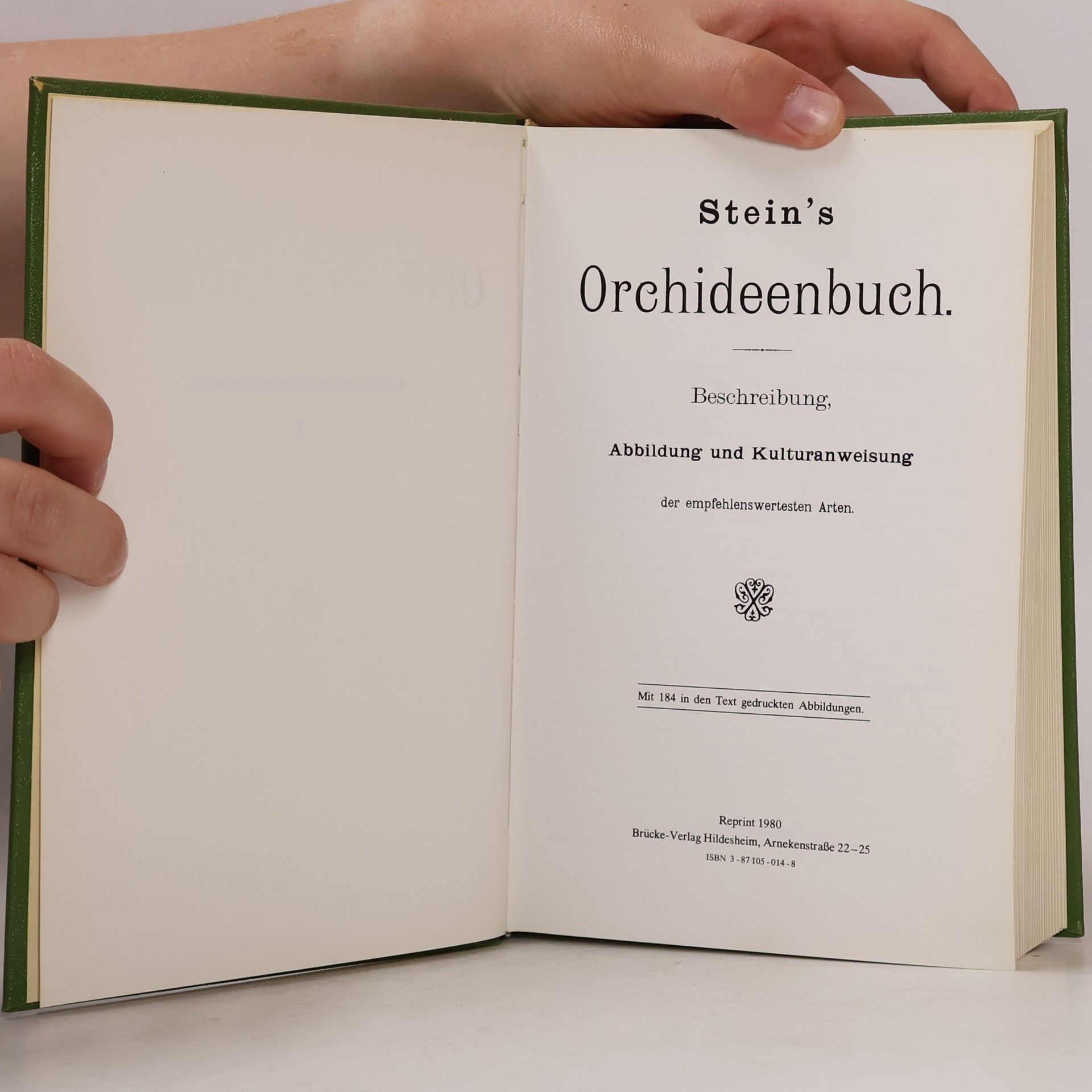 Autorenkollektiv Stein's Orchideenbuch I