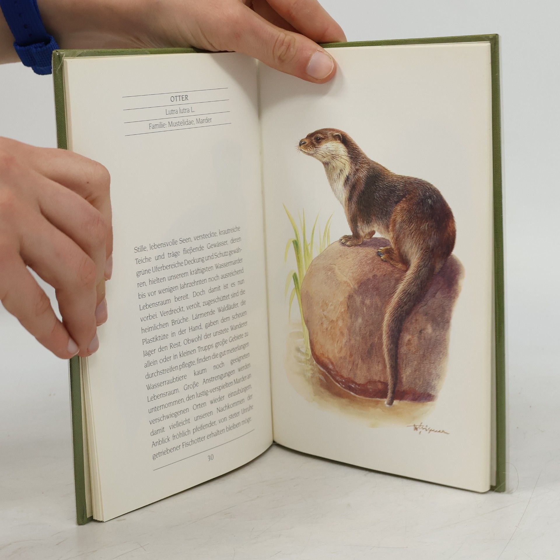 Wolfgang Gewalt Säugetiere aus Wald und Flur