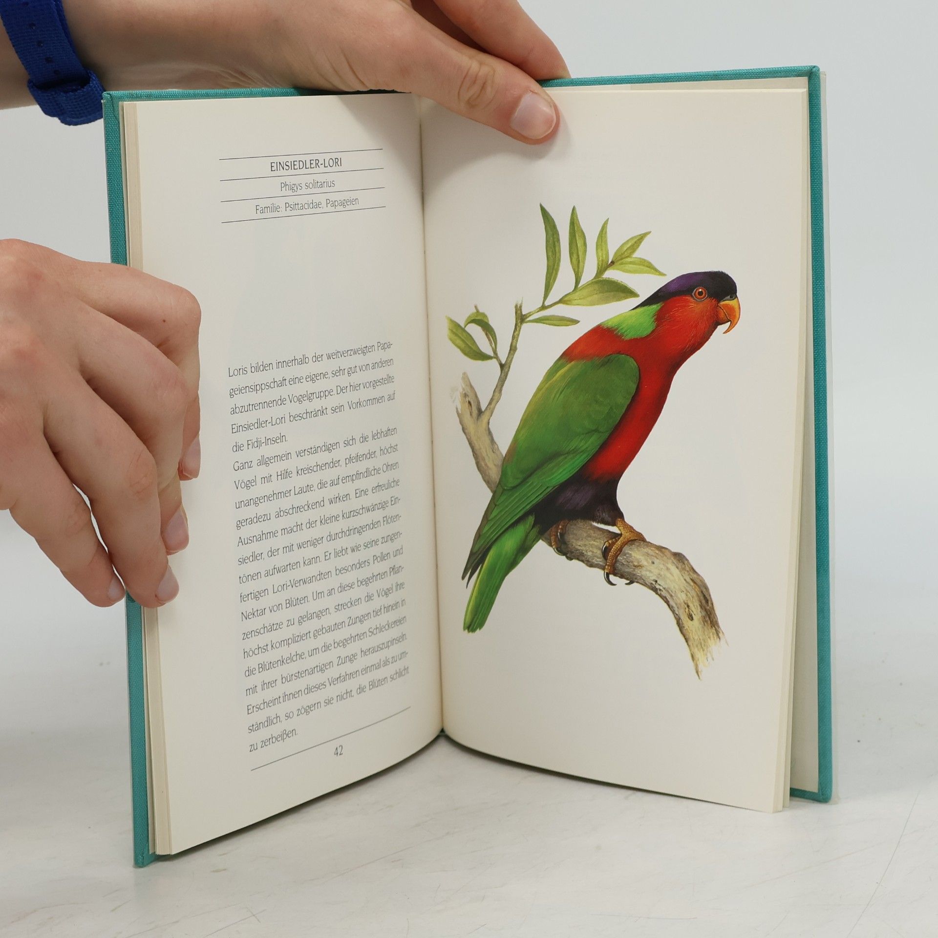 Wolfgang Gewalt Exotische Vögel