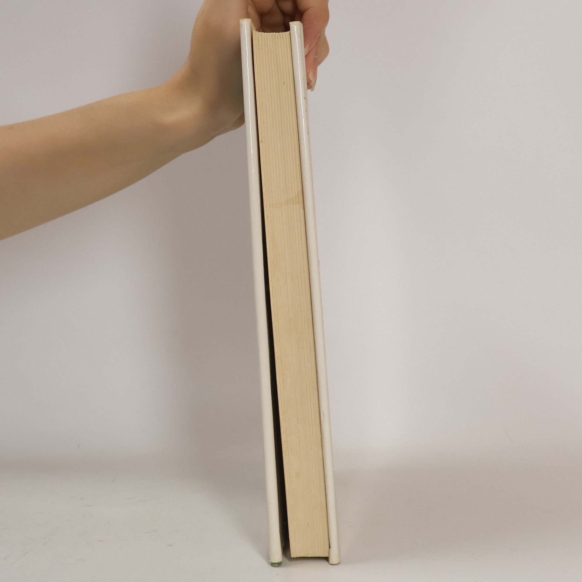 Autorenkollektiv The Illustrated Book of Food Plants