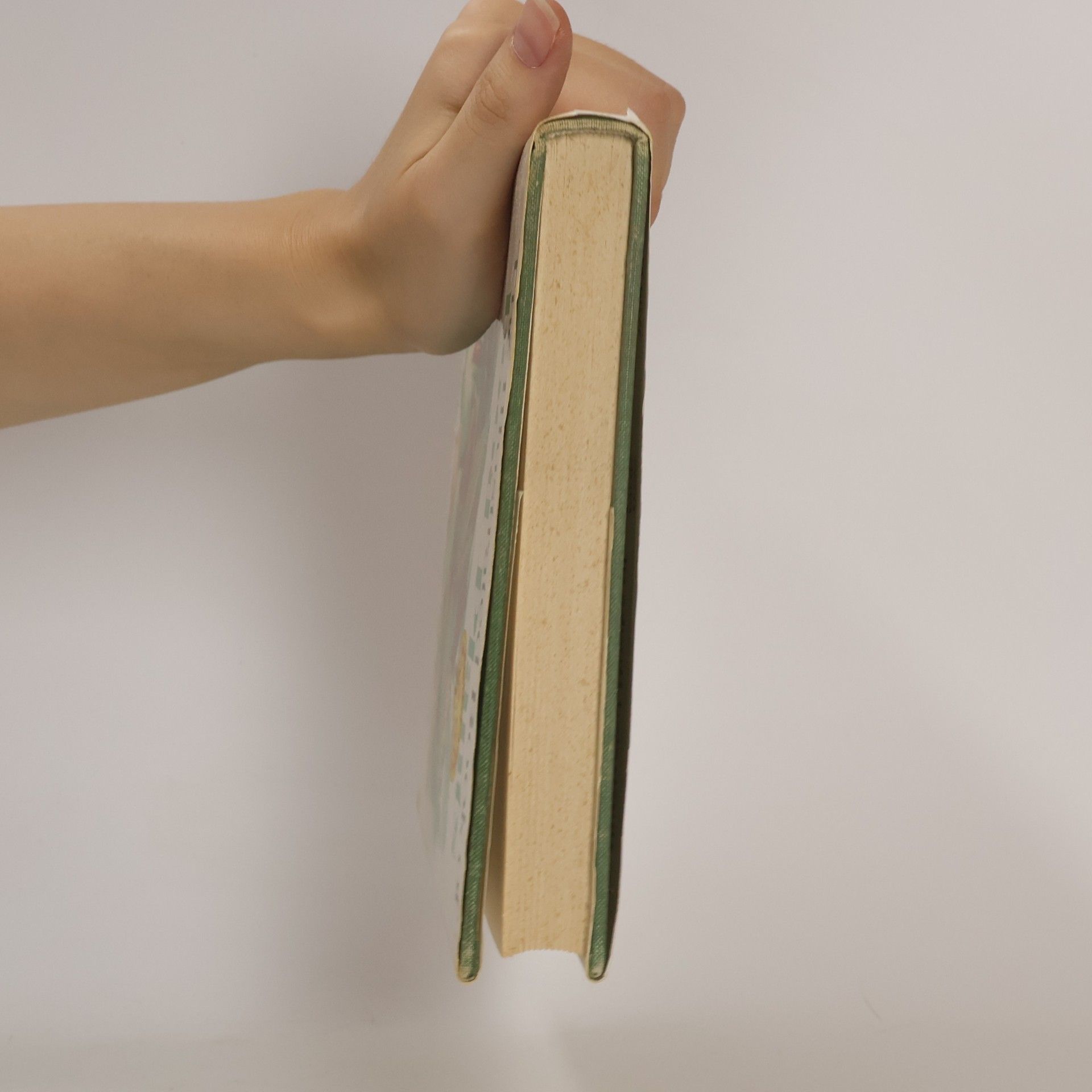 Autorenkollektiv The Illustrated Book of Food Plants