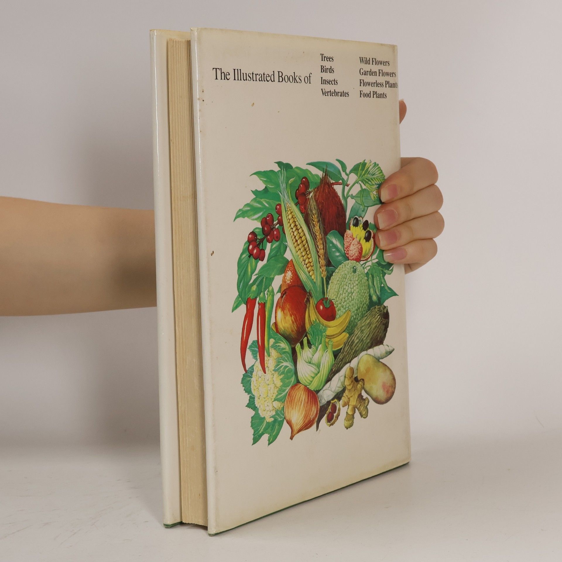 Autorenkollektiv The Illustrated Book of Food Plants