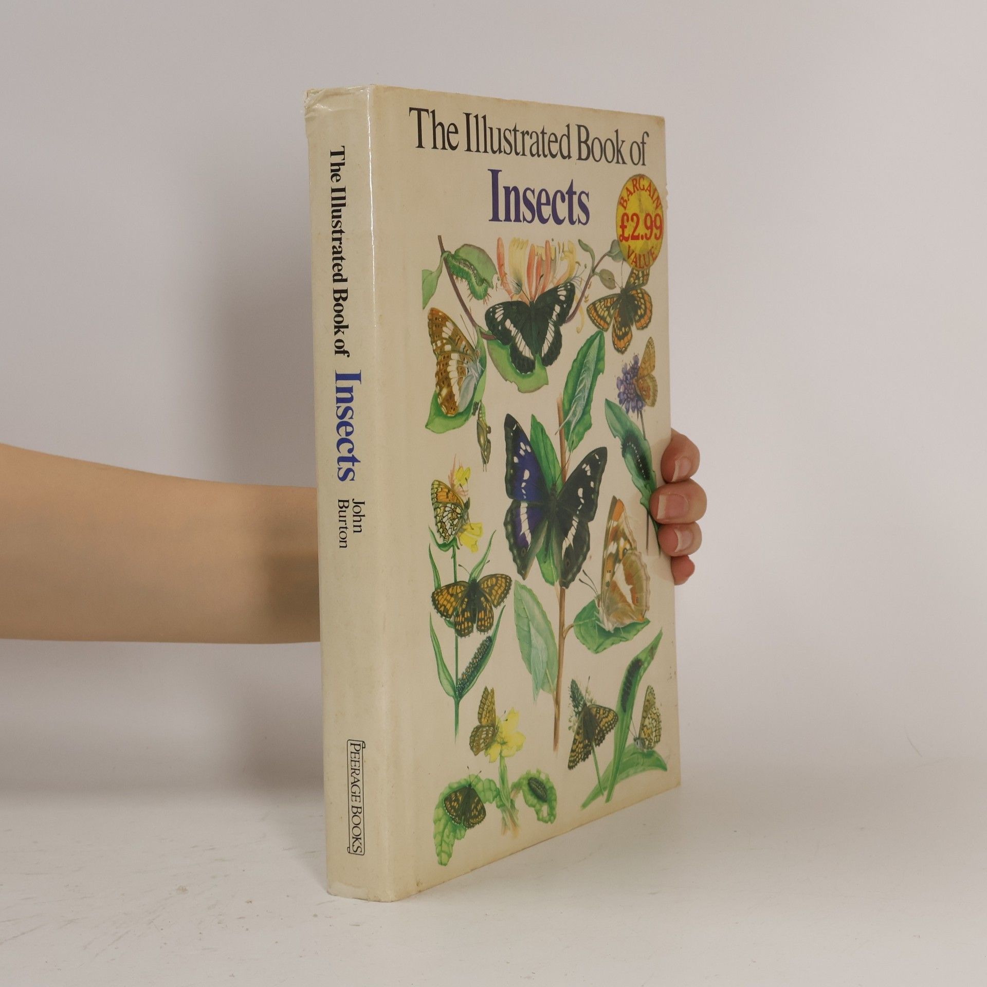 The Illustrated Book of Insects