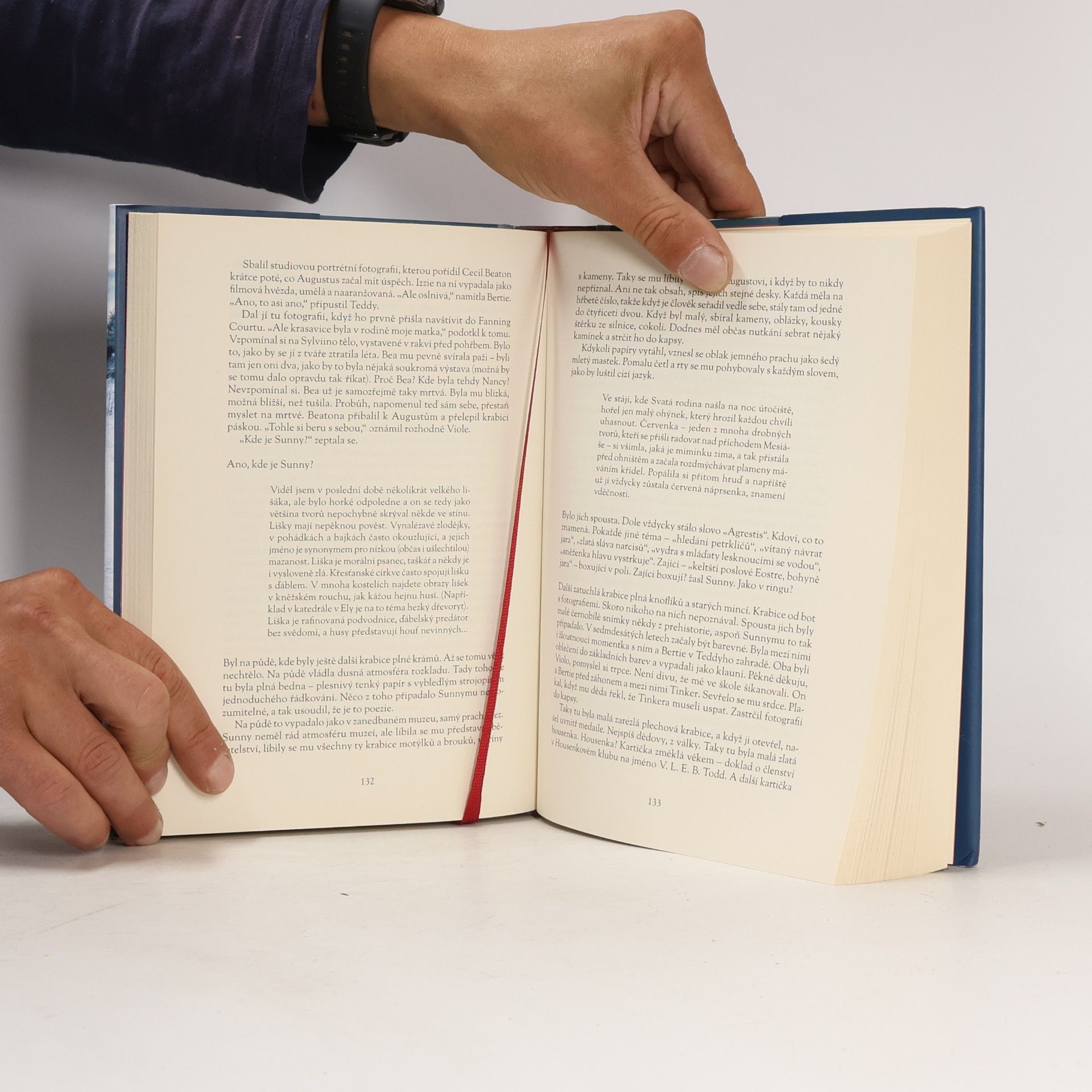 Kate Atkinson Bůh v troskách