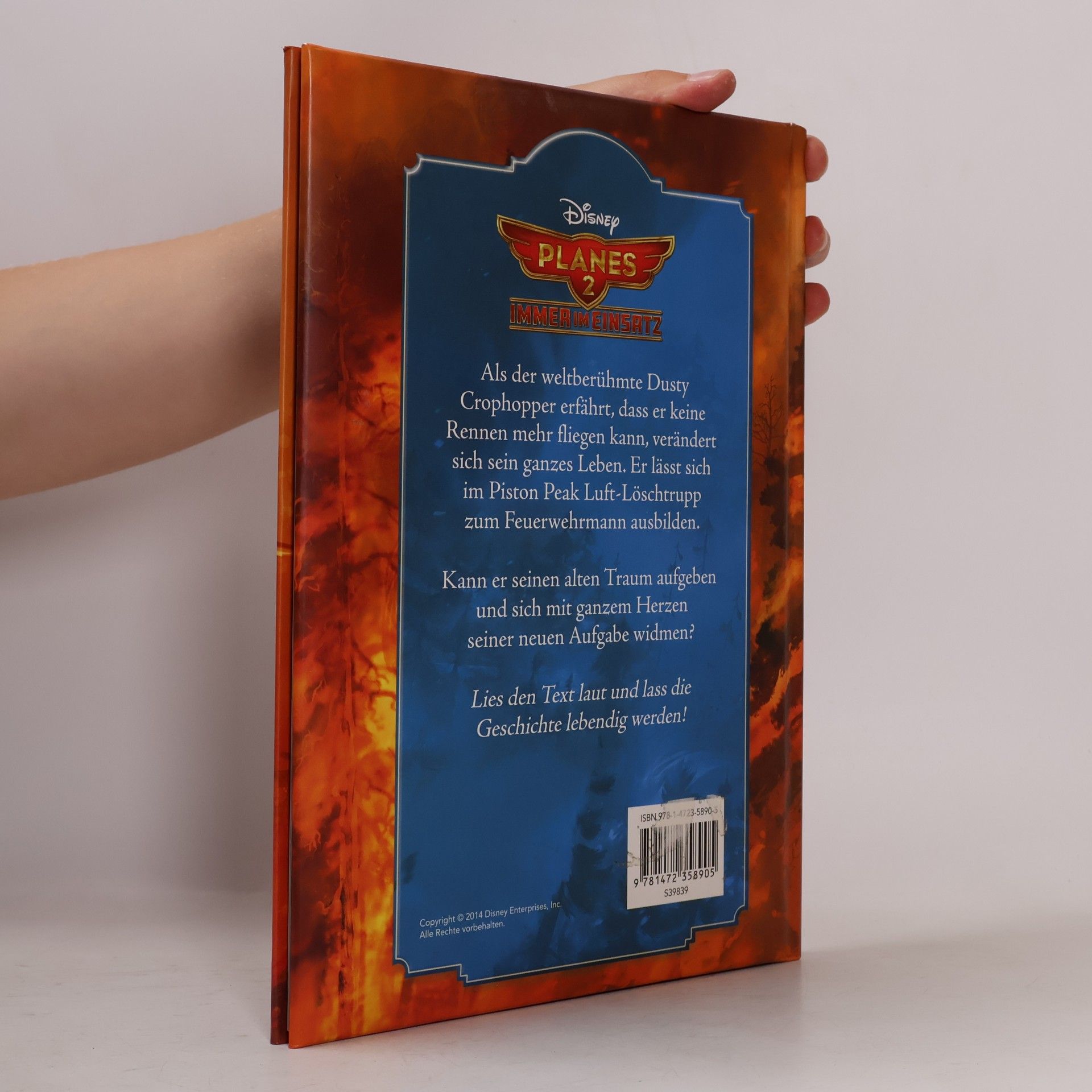 Autorenkollektiv Planes 2 - Immer im Einsatz