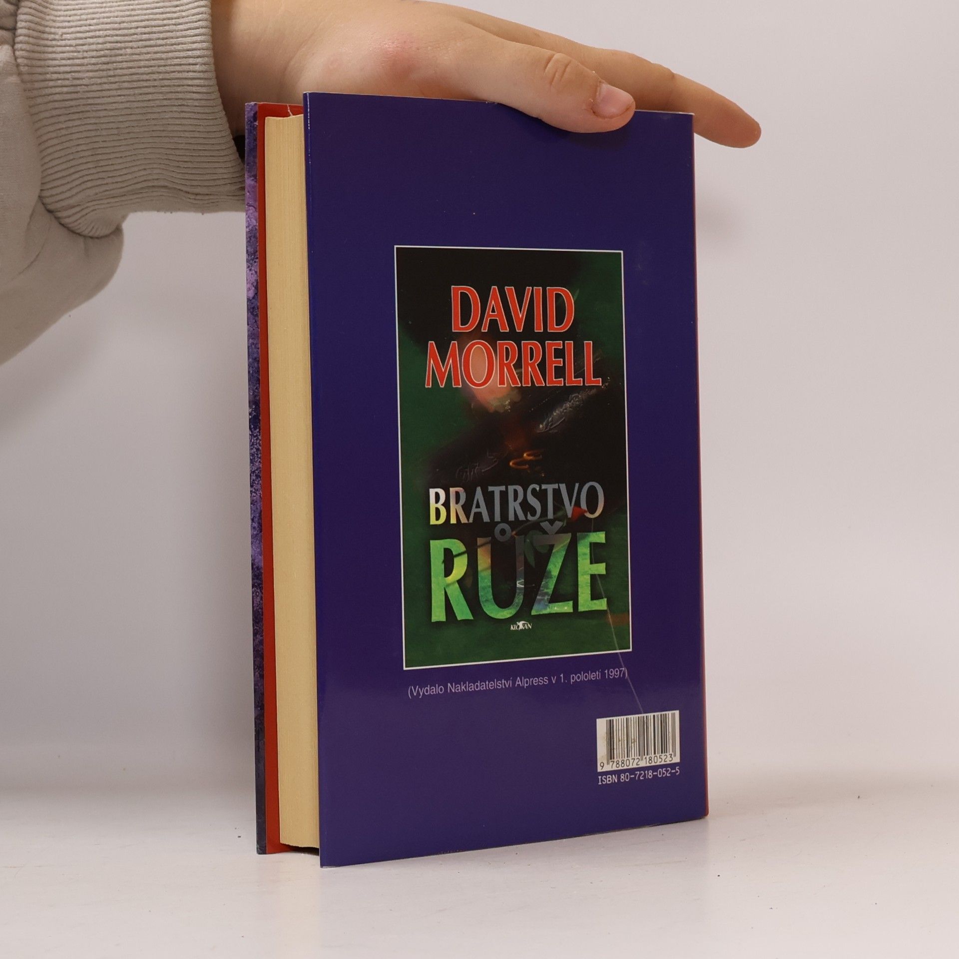 David Morrell Bratrstvo kamene