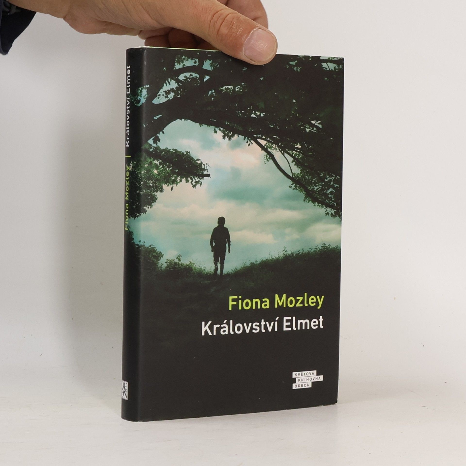 Fiona Mozley Království Elmet