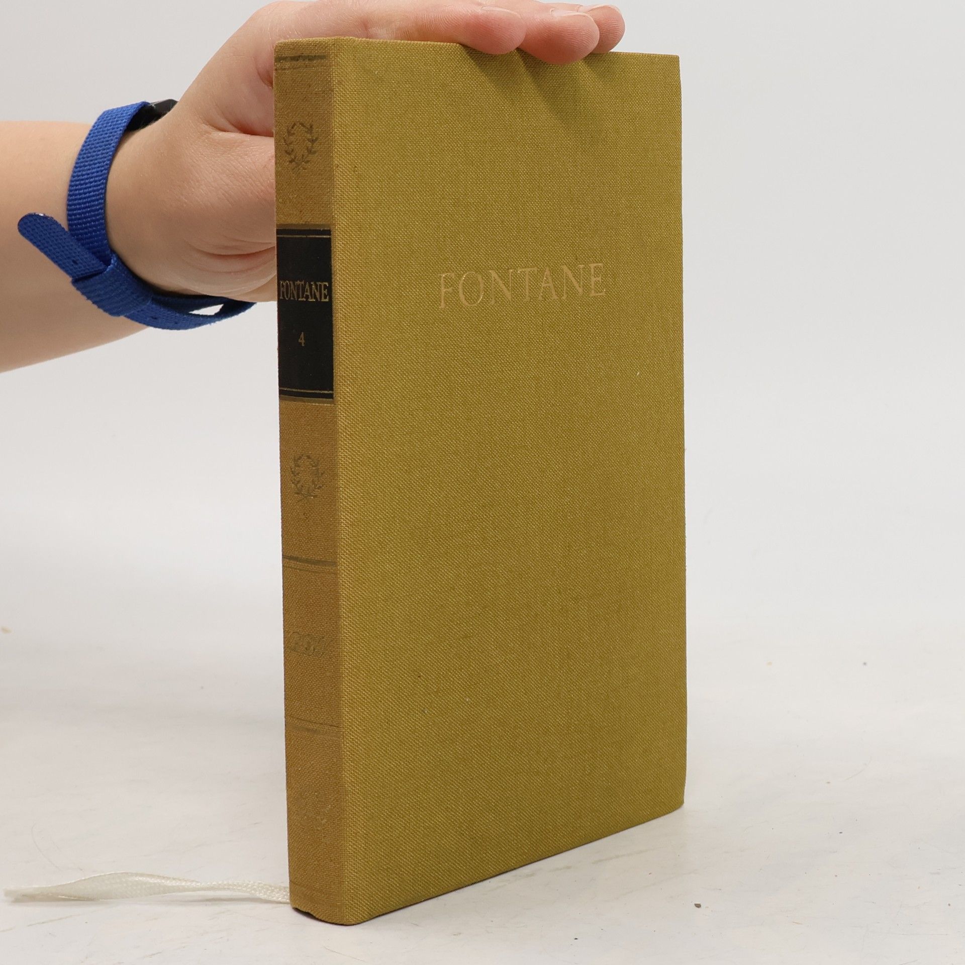 Theodor Fontane Fontane 4