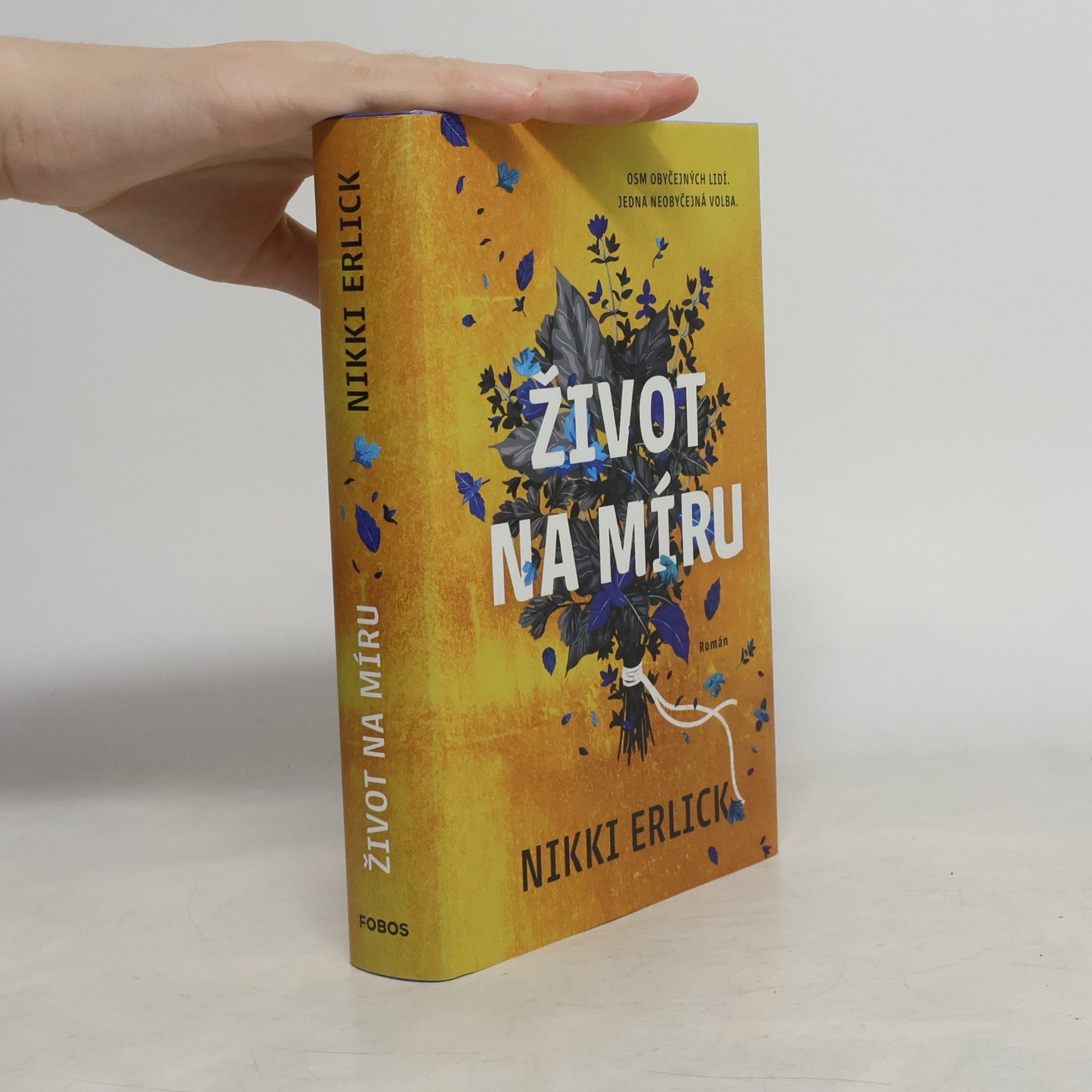 Nikki Erlick Život na míru