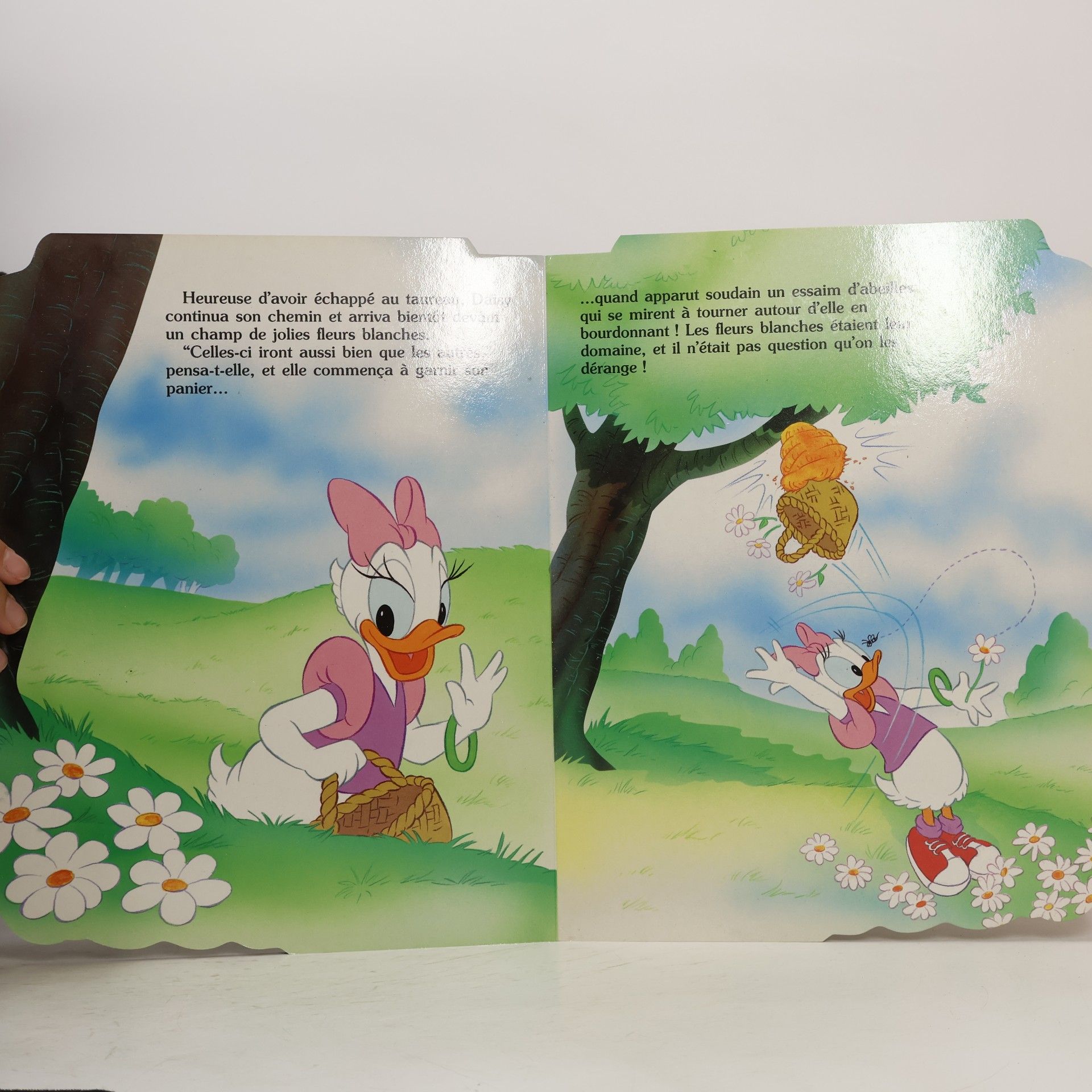 Walt Disney Walt Disney: Le joli bouquet de Daisy
