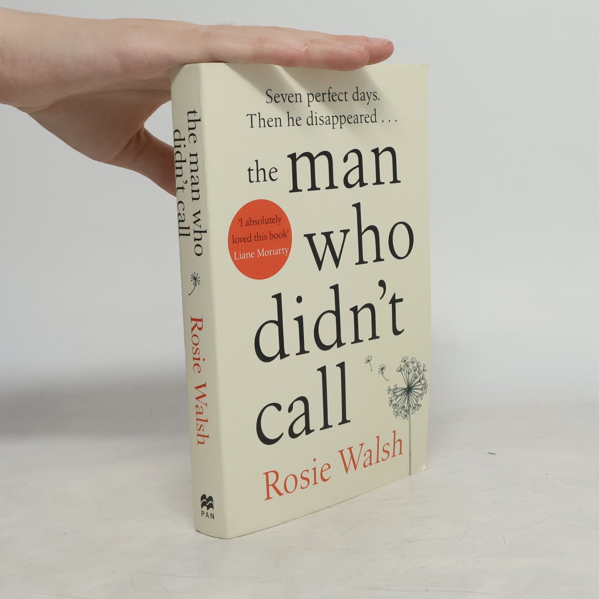 Rosie Walsh The Man Who Didn´t Call