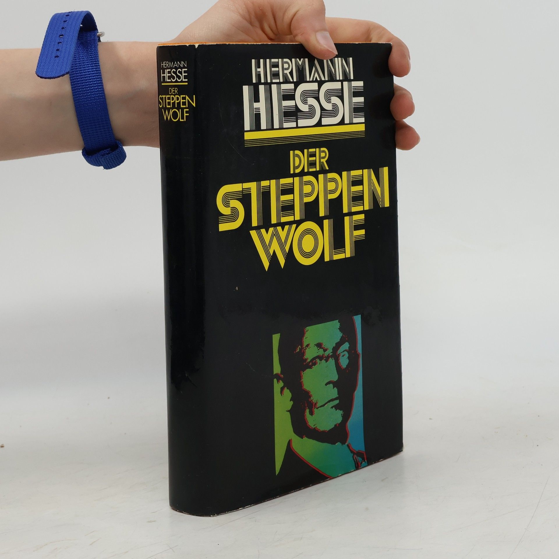 Hermann Hesse Der Steppenwolf