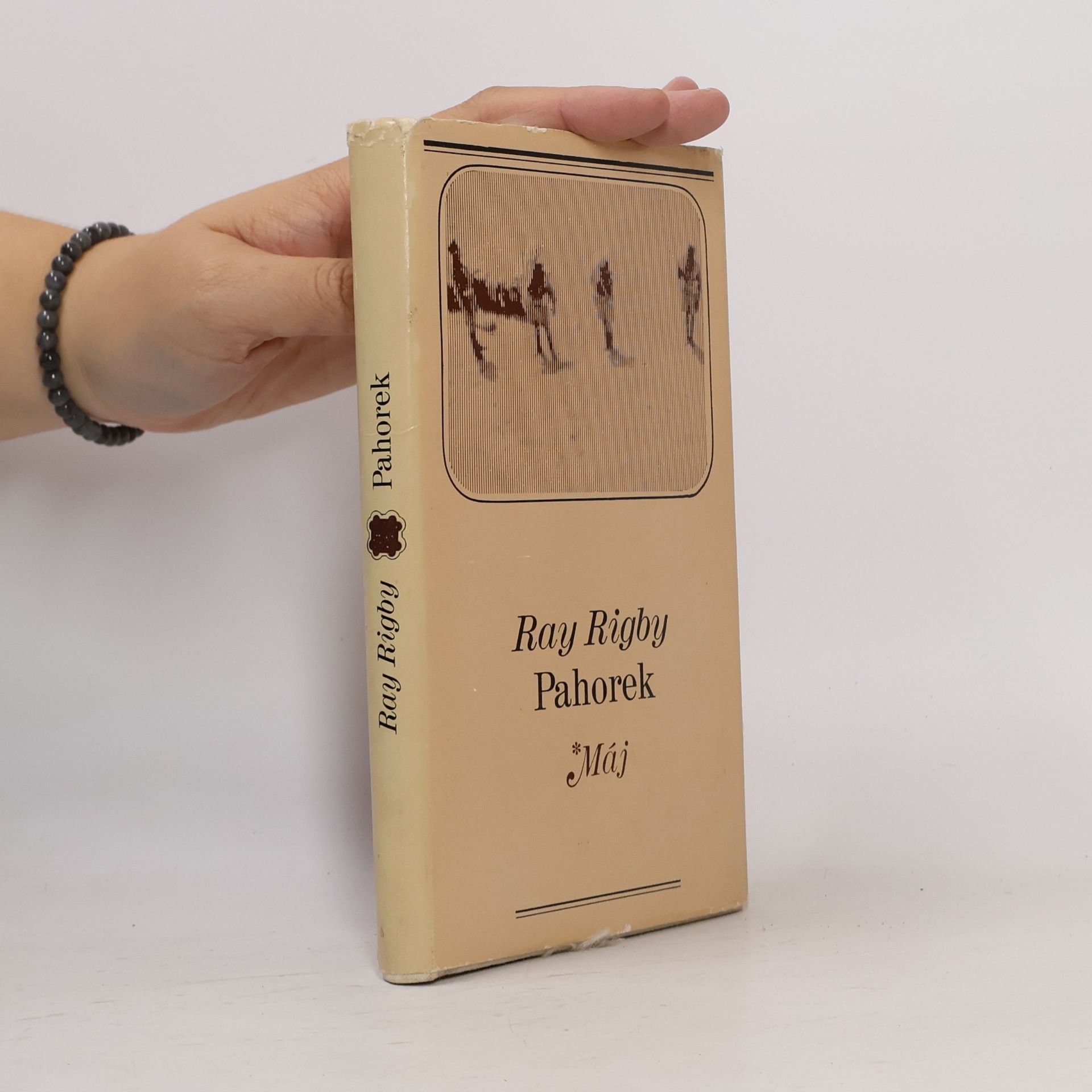 Ray Rigby Pahorek