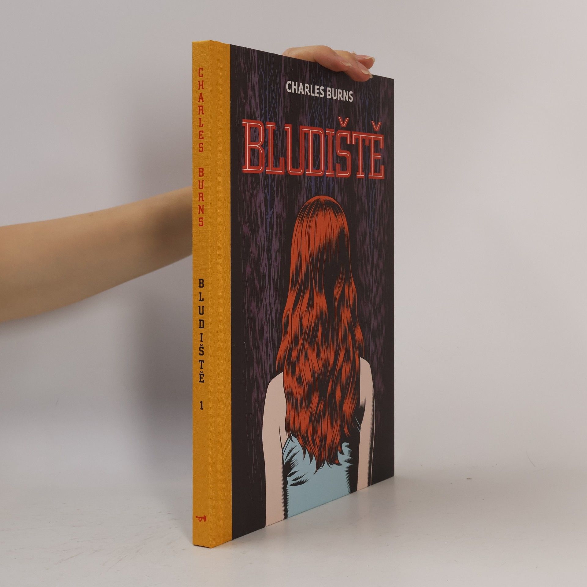 Charles Burns Bludiště 1